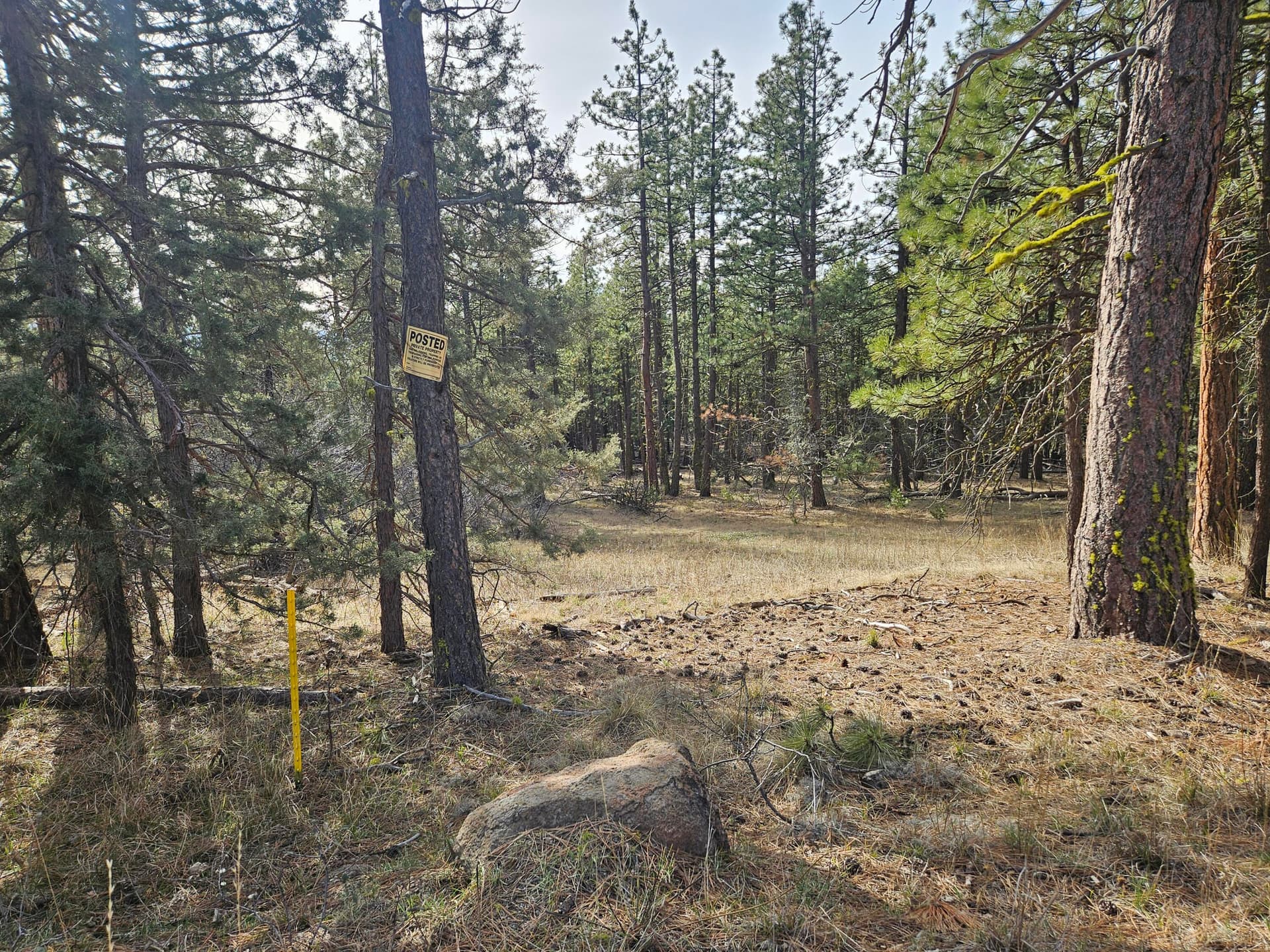 20260131_112504. Photo 1 of 12, 0 Seal Lane Unit 8, Bonanza, OR 97623