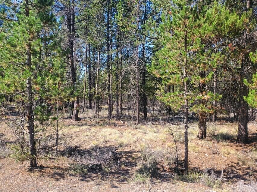 Paulina 4. Photo 4 of 5, 15734 Paulina Avenue, La Pine, OR 97739