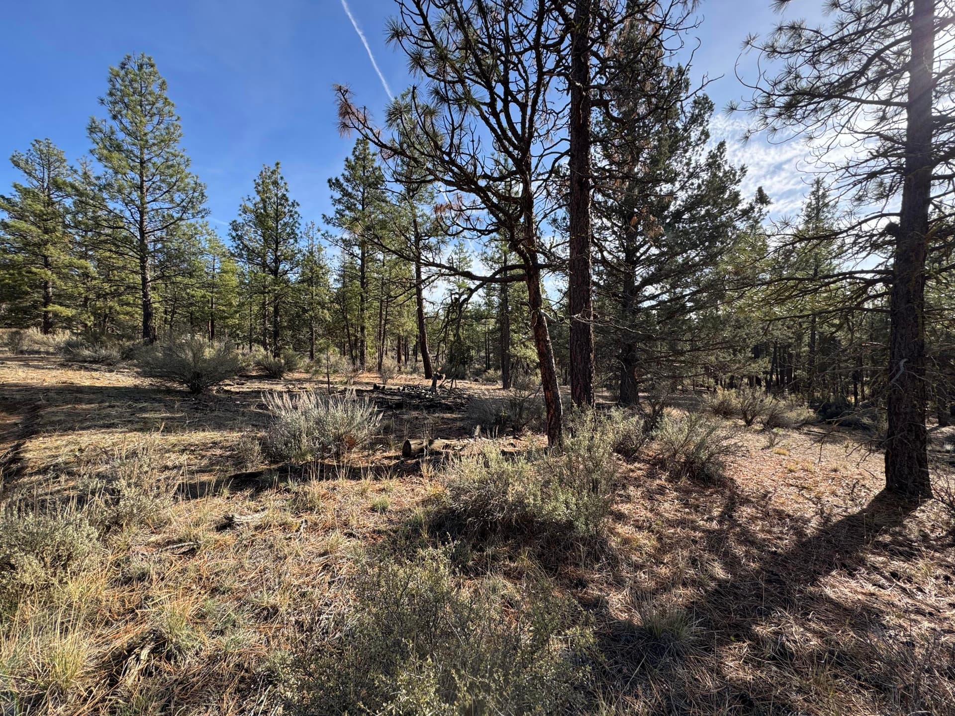 IMG_9331. Photo 1 of 6, 0 Pheasant Lane Unit 9, Chiloquin, OR 97624