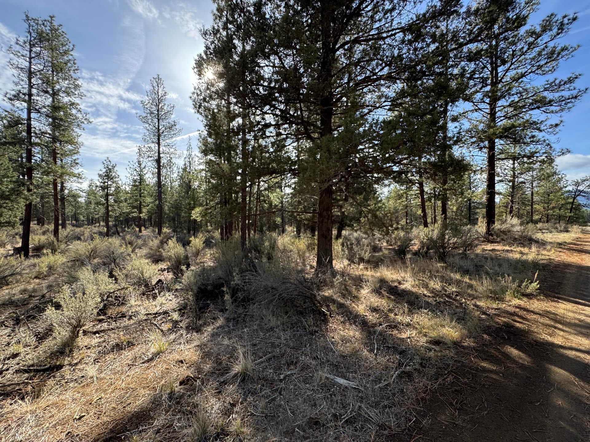 IMG_9332. Photo 2 of 6, 0 Pheasant Lane Unit 9, Chiloquin, OR 97624