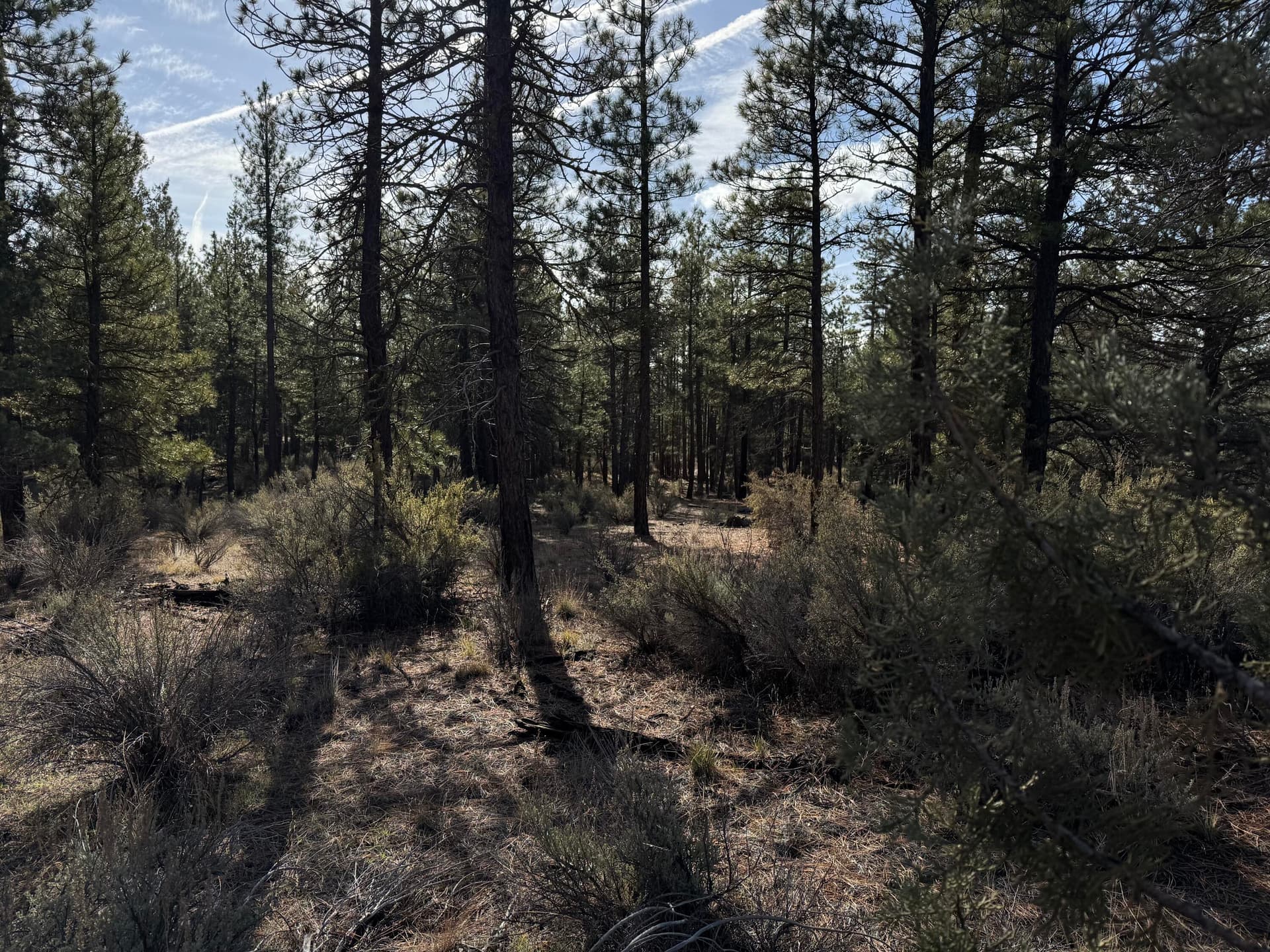 IMG_9333. Photo 3 of 6, 0 Pheasant Lane Unit 9, Chiloquin, OR 97624