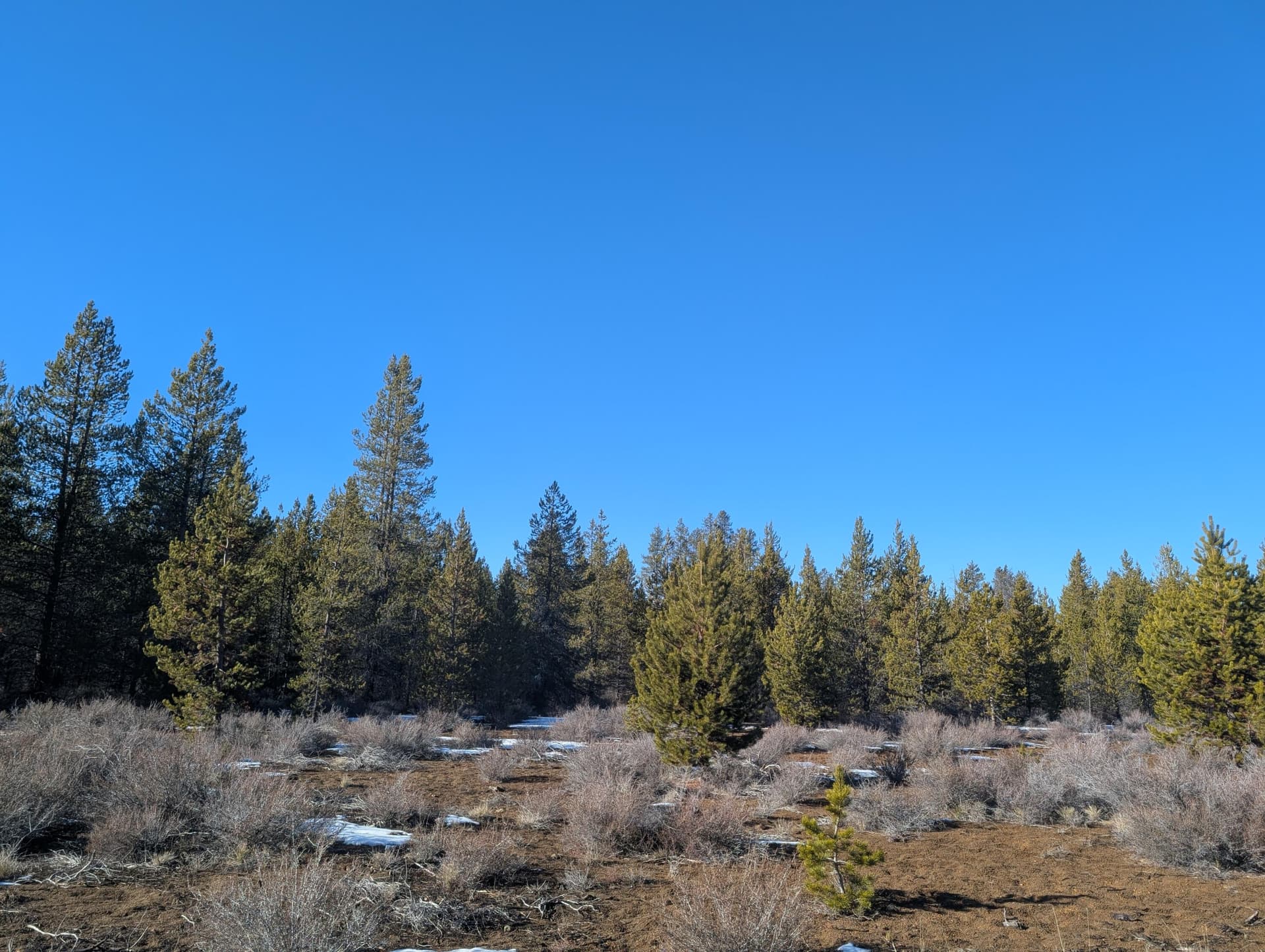 PXL_20260114_210759153. Photo 1 of 6, TL 211107B000108, Bend, OR 97707