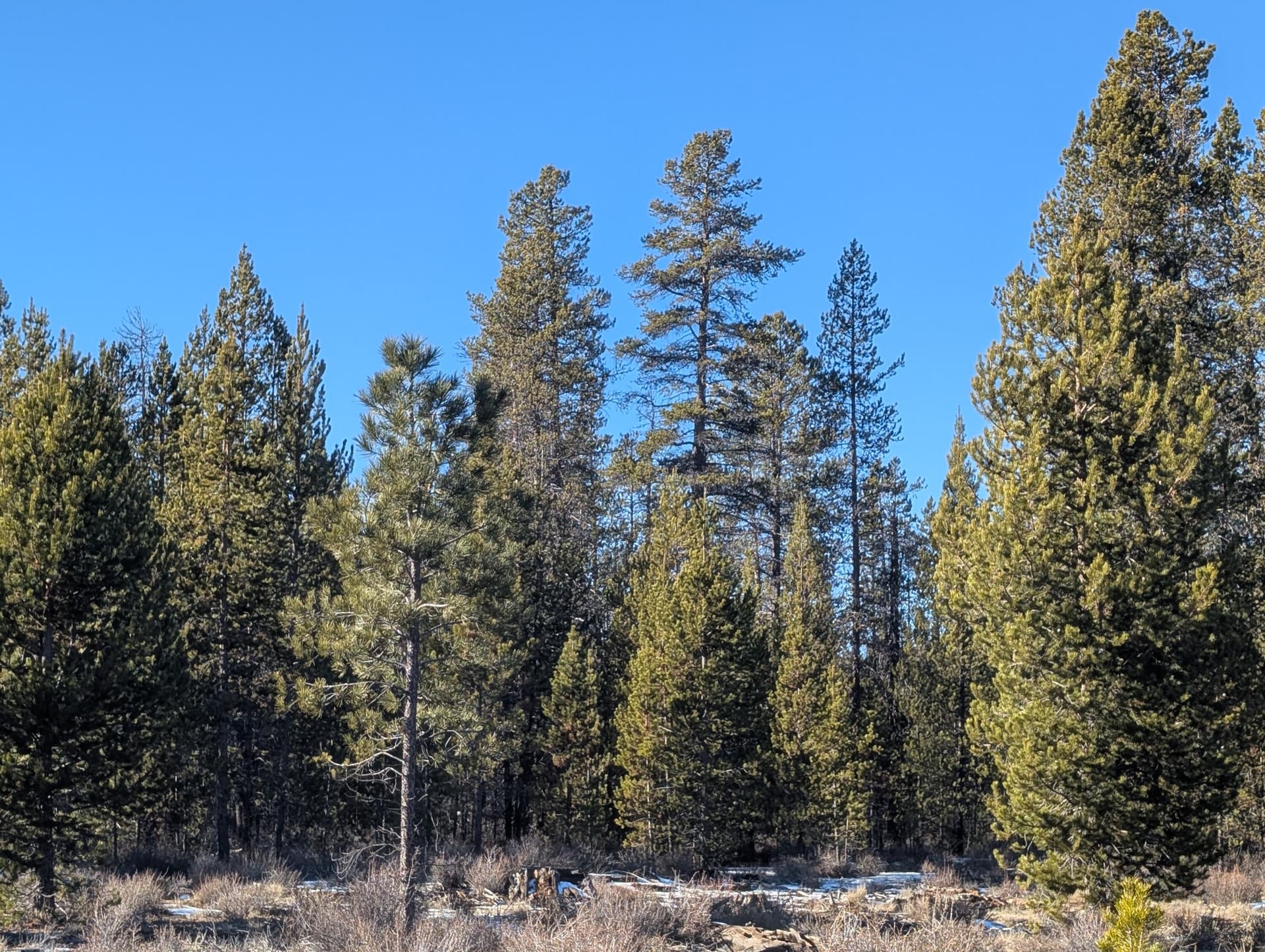 PXL_20260114_211033749. Photo 3 of 6, TL 211107B000108, Bend, OR 97707
