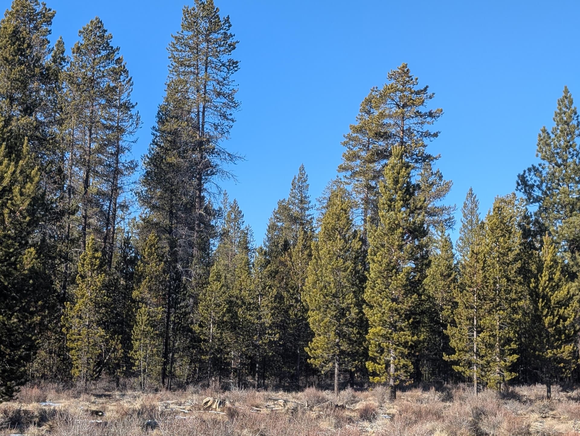PXL_20260114_211037659. Photo 4 of 6, TL 211107B000108, Bend, OR 97707