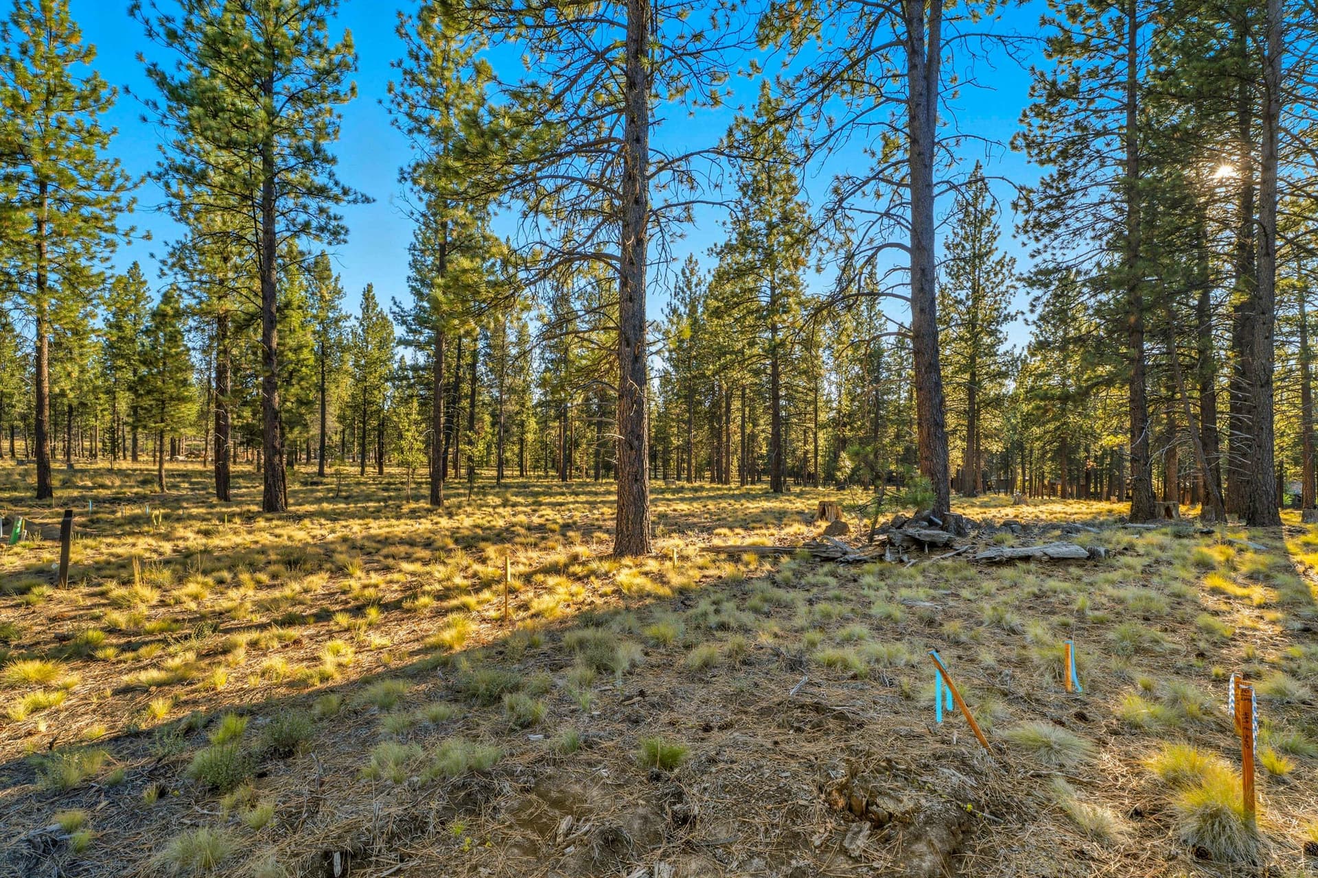 DSC00623. Photo 2 of 30, 56508 Elk Run Drive Unit 499, Bend, OR 97707