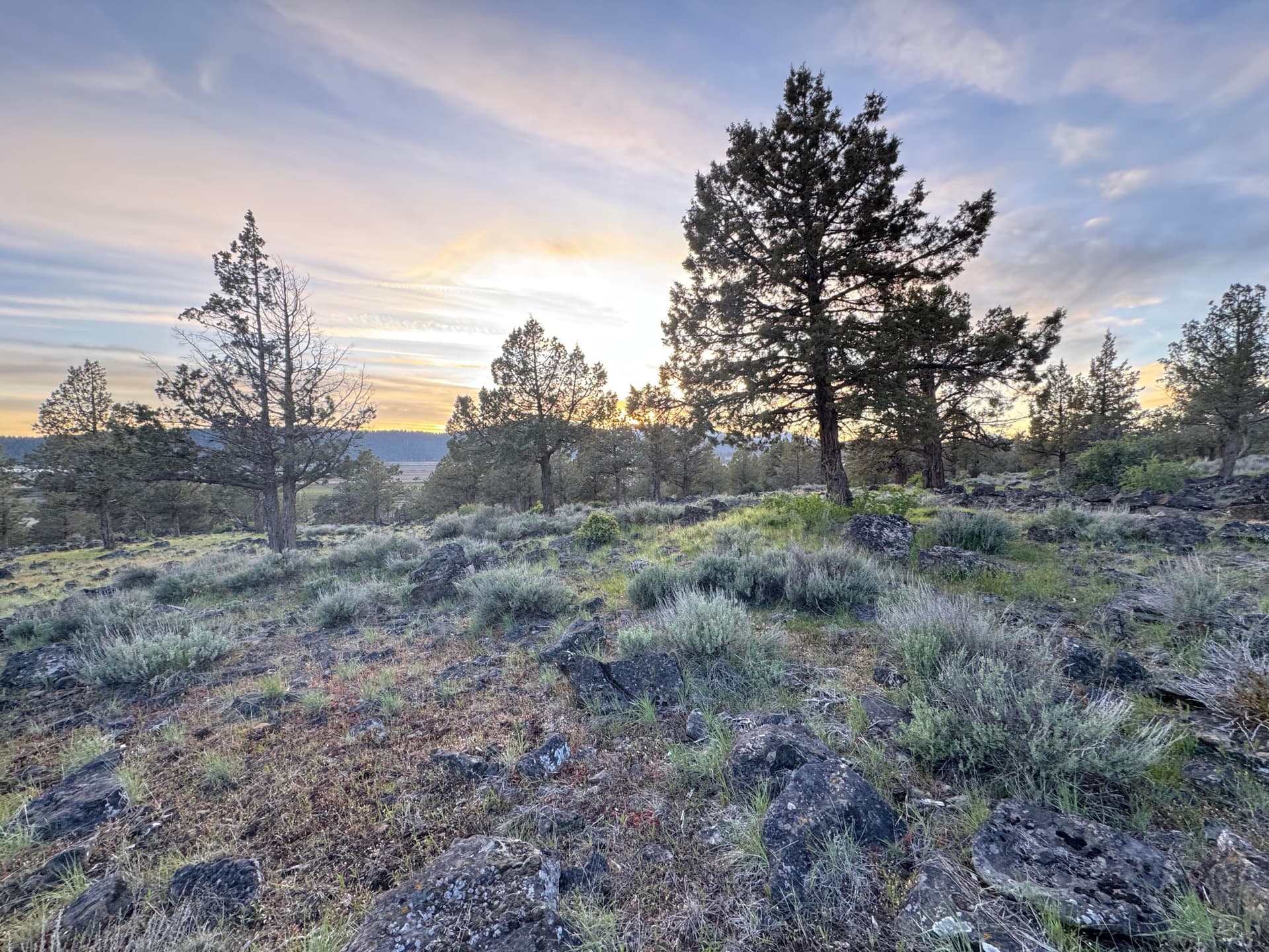 1. Photo 1 of 14, 0 Fox Sparrow Drive Unit 1124, Klamath Falls, OR 97601