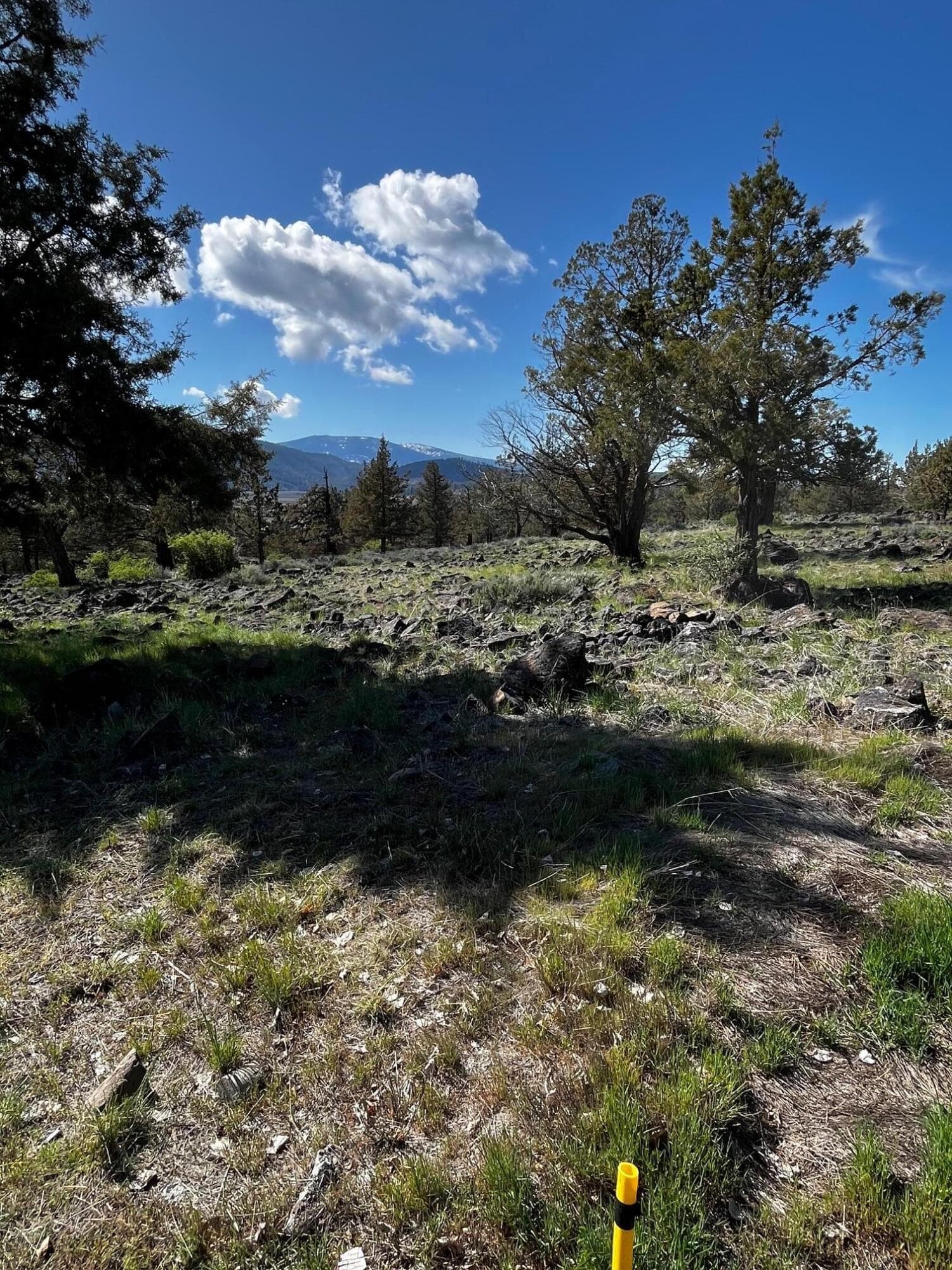 image0. Photo 3 of 14, 0 Fox Sparrow Drive Unit 1124, Klamath Falls, OR 97601