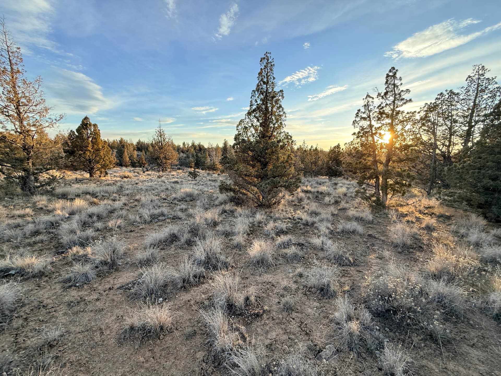 03. Photo 3 of 19, 2210 SE Blue Skies Lane, Prineville, OR 97754