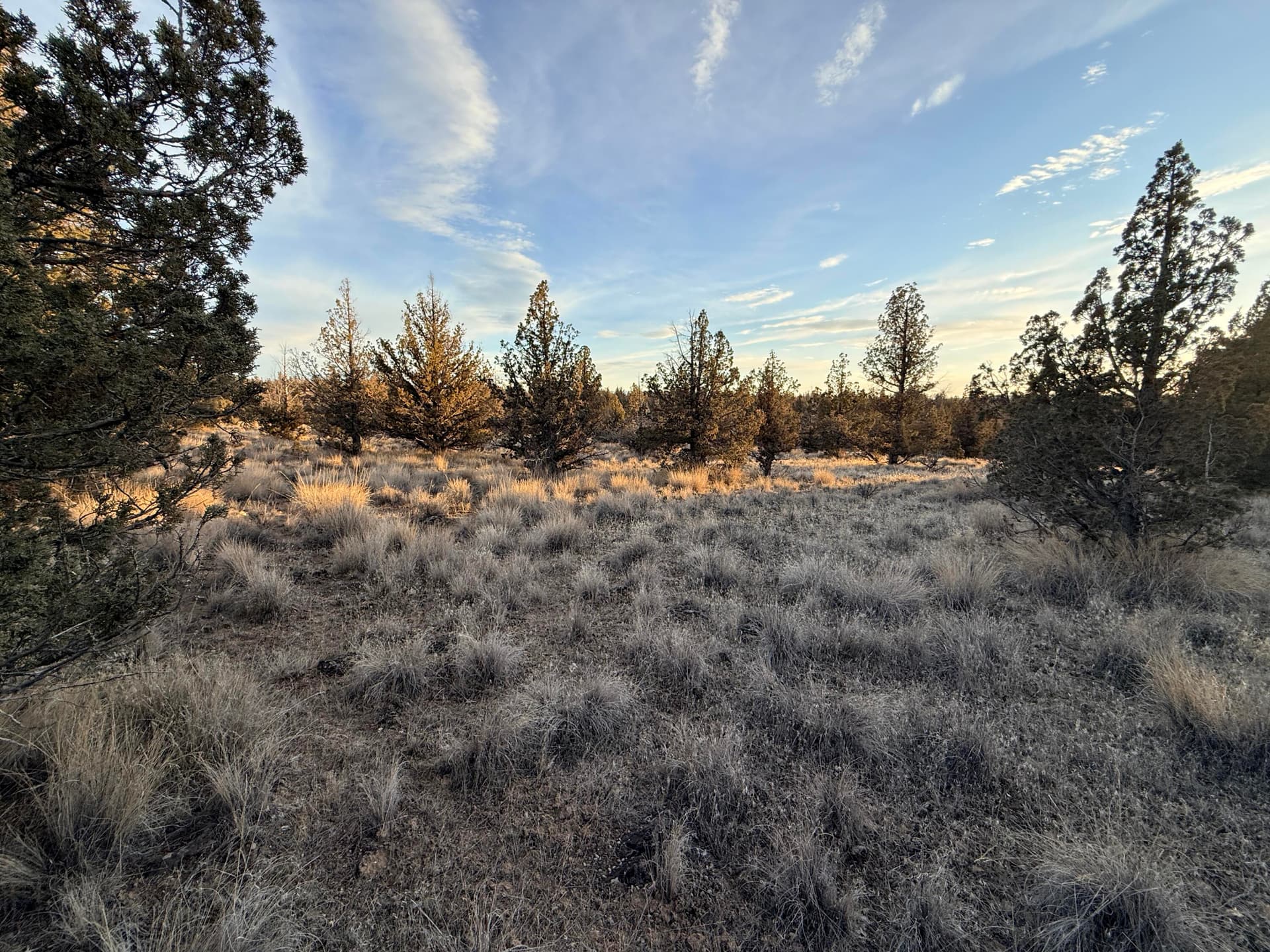 04. Photo 4 of 19, 2210 SE Blue Skies Lane, Prineville, OR 97754