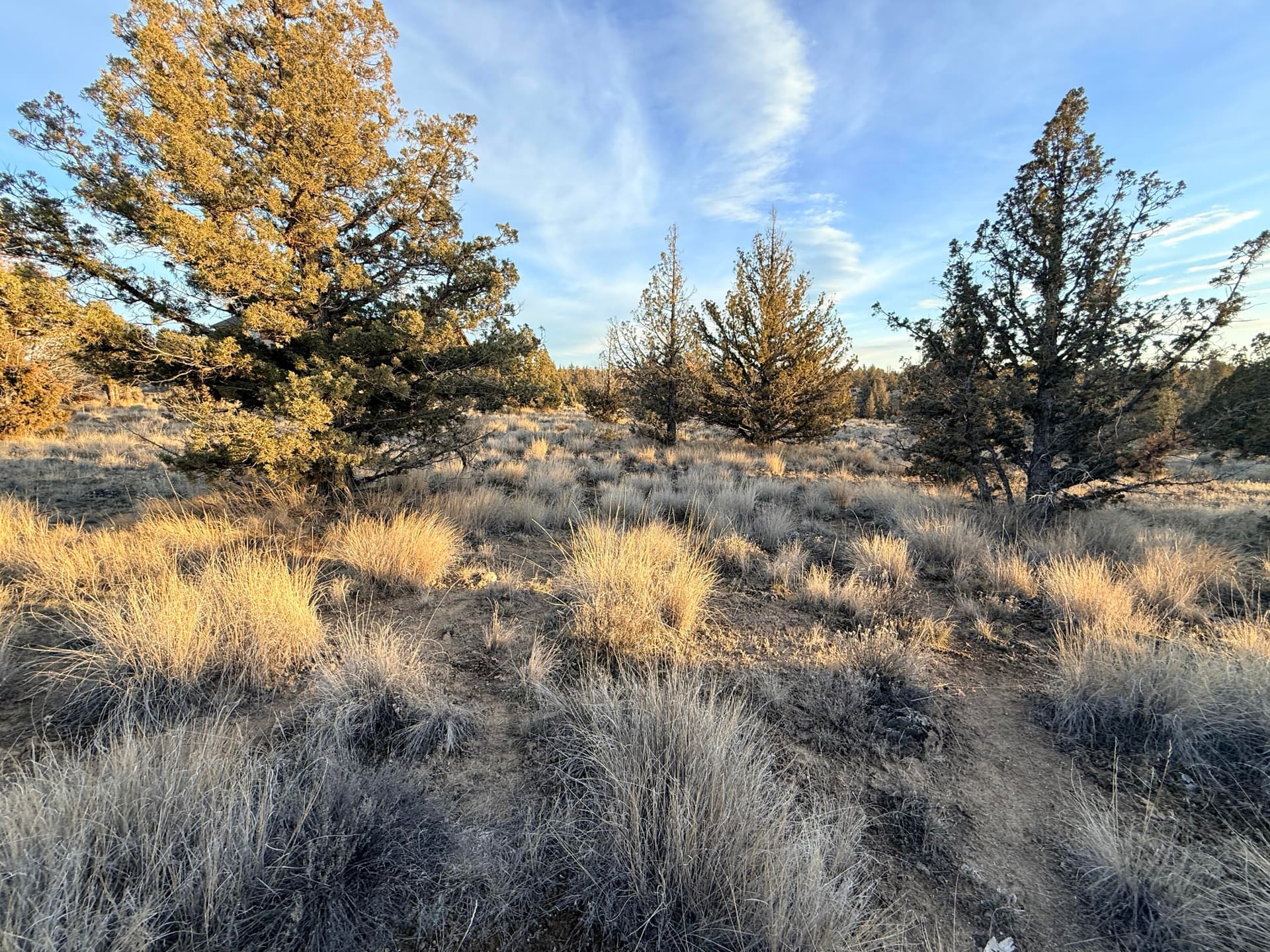 05. Photo 5 of 19, 2210 SE Blue Skies Lane, Prineville, OR 97754
