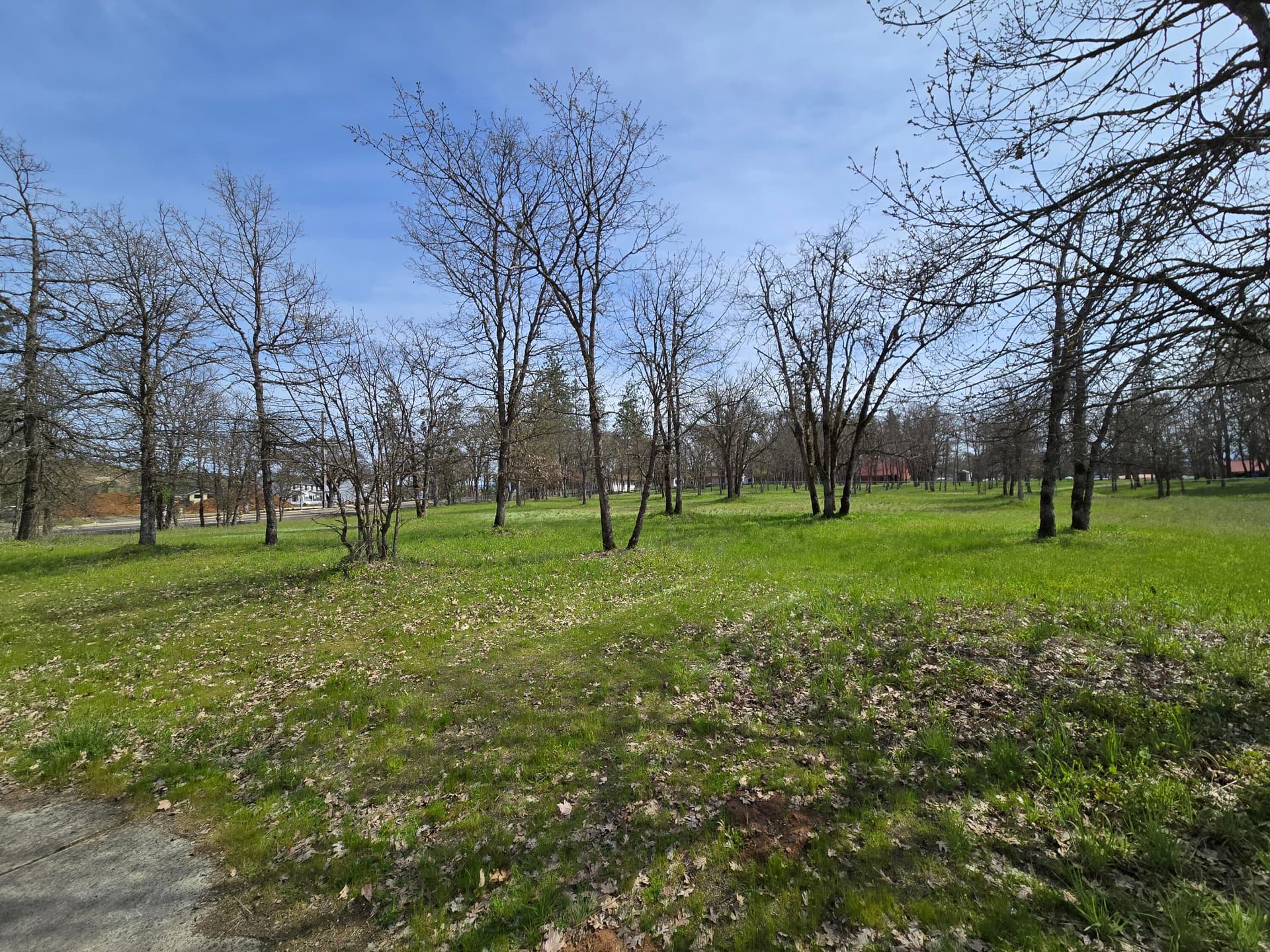 Property. Photo 4 of 7, Echo Way Unit Tax Lot 901, Eagle Point, OR 97524