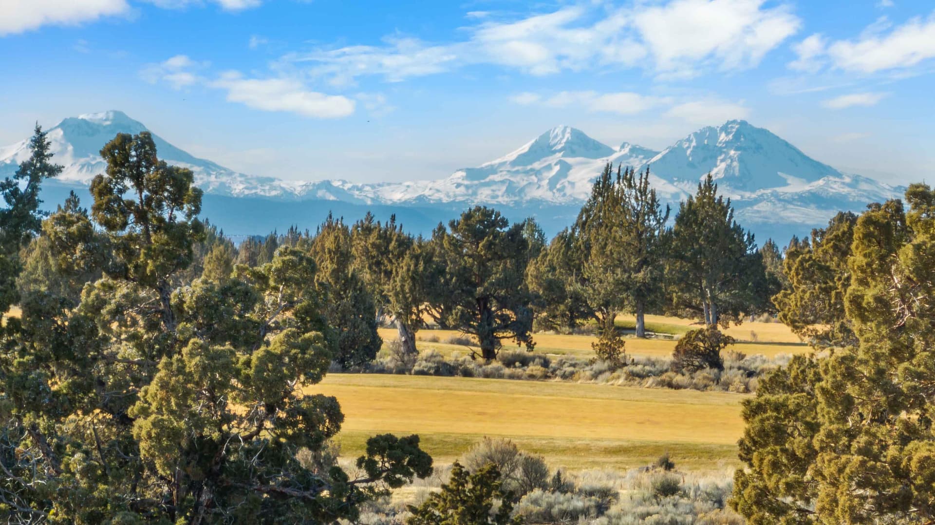 Mountains Front. Photo 1 of 13, 65830 Pronghorn Estates Drive Unit #57, Bend, OR 97701