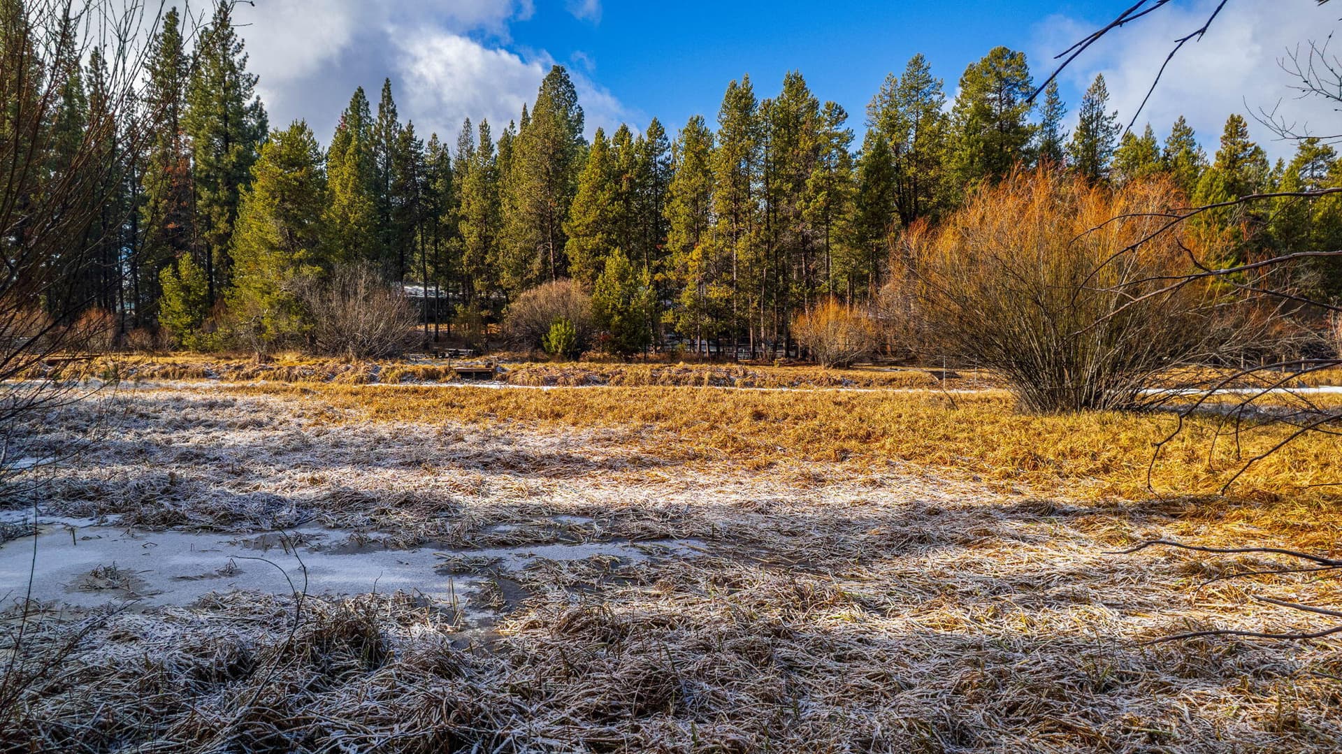 11-web-or-mls-17219 Pasadena-09. Photo 2 of 15, 17219 Pasadena Road, Bend, OR 97707