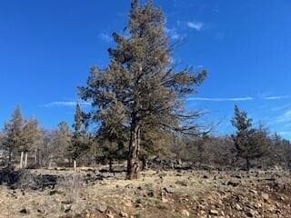 Pic 2. Photo 1 of 3, 0 Kestrel Road Unit Lot 721, Klamath Falls, OR 97601
