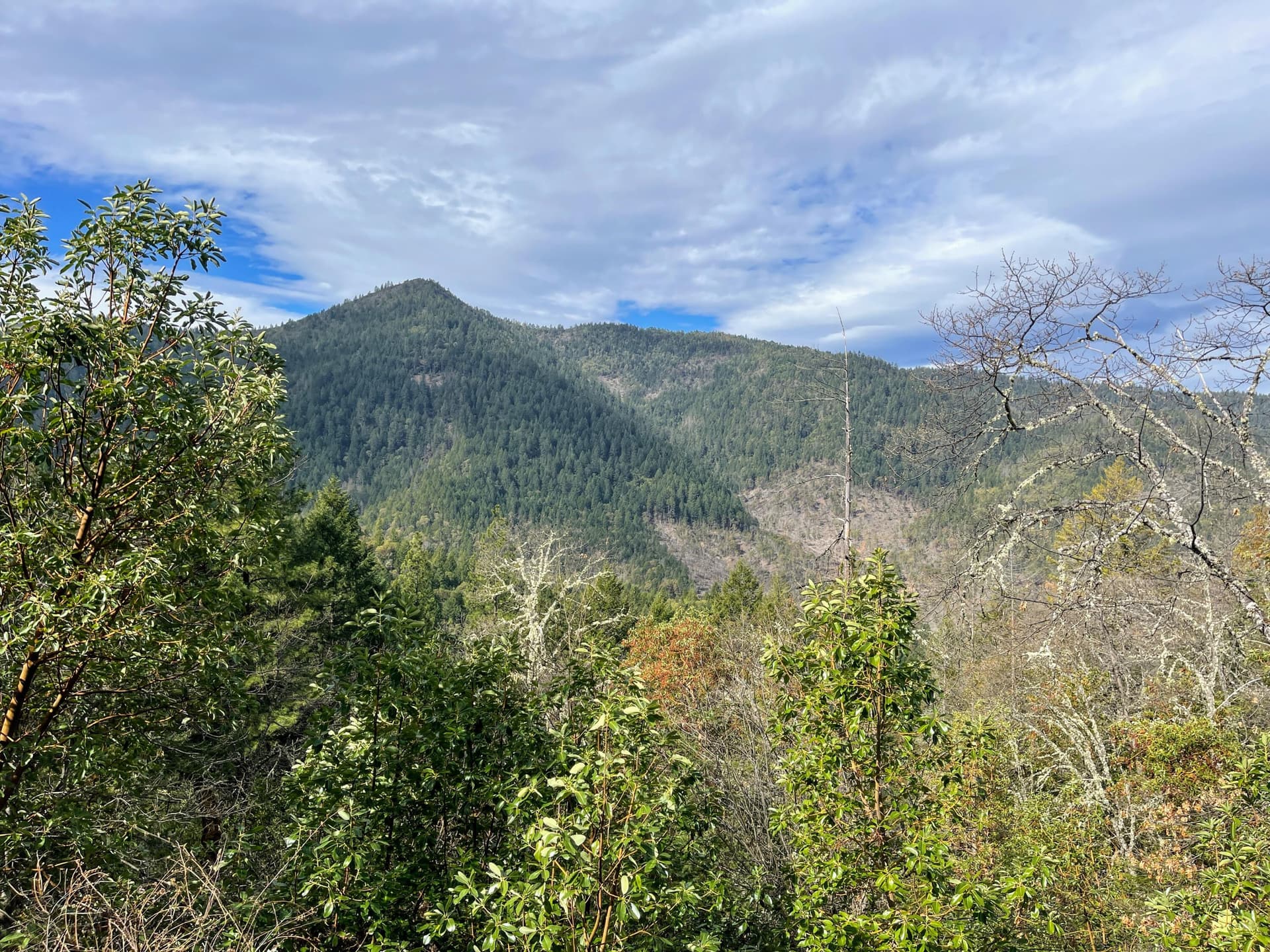 001 IMG_1178. Photo 1 of 40, 0 Savage Creek Rd TL2502, Rogue River, OR 97537