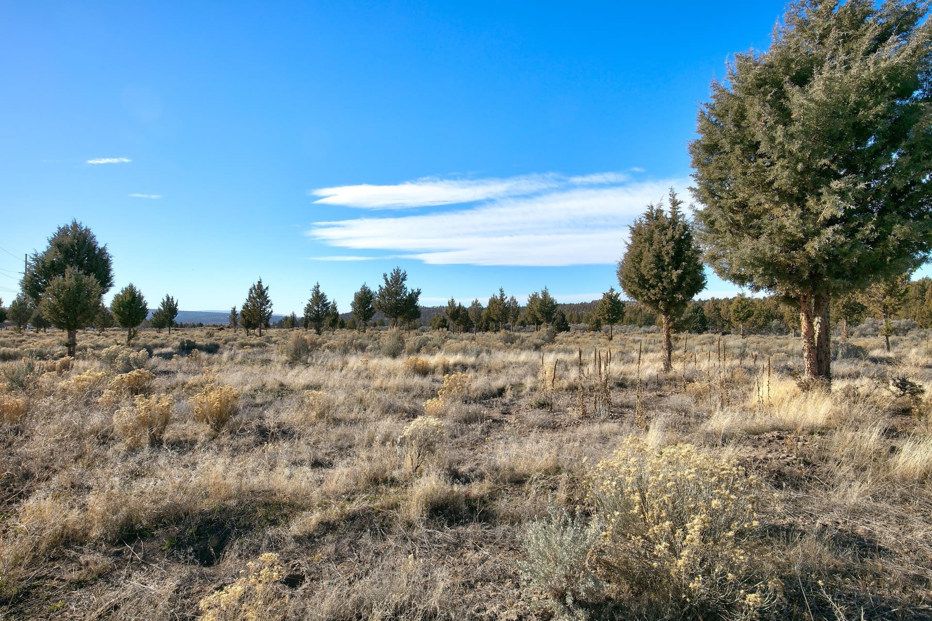 1 - 01 Riverdance Lot._002. Photo 1 of 11, SE Riverdance Road Unit TL 410, Prineville, OR 97754