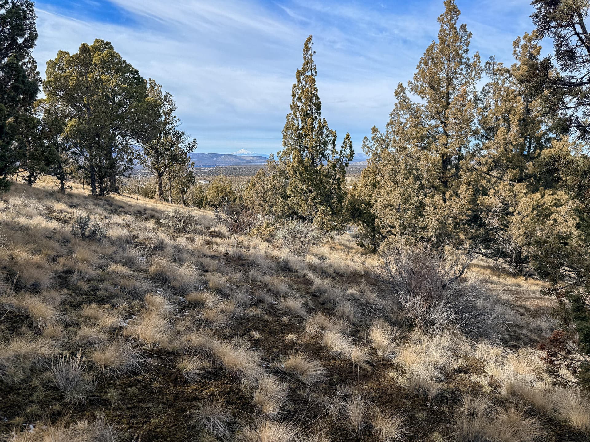 02. Photo 2 of 8, 2600 SE TL 2600 Seneca Road, Prineville, OR 97754