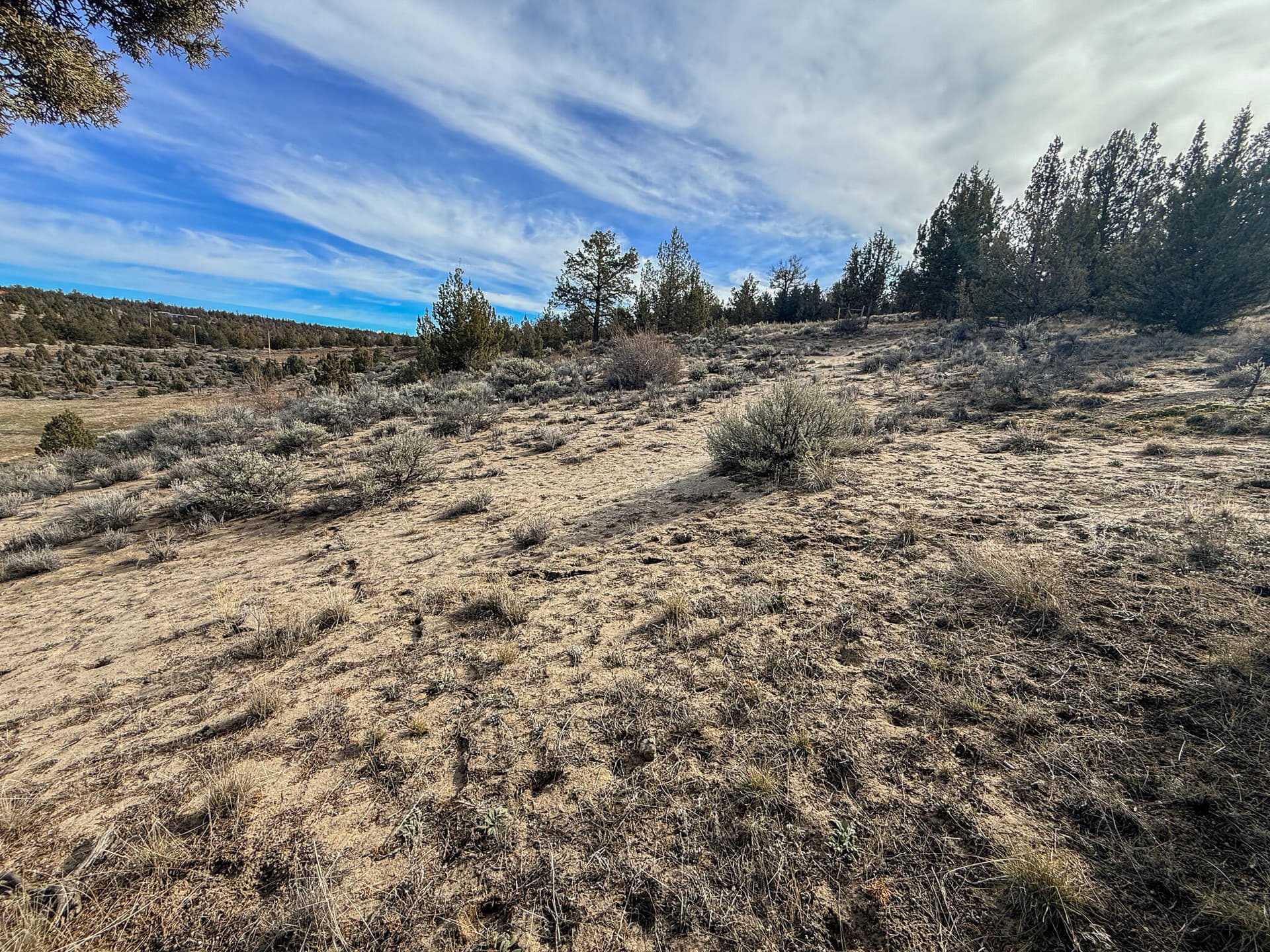 04. Photo 4 of 8, 2600 SE TL 2600 Seneca Road, Prineville, OR 97754