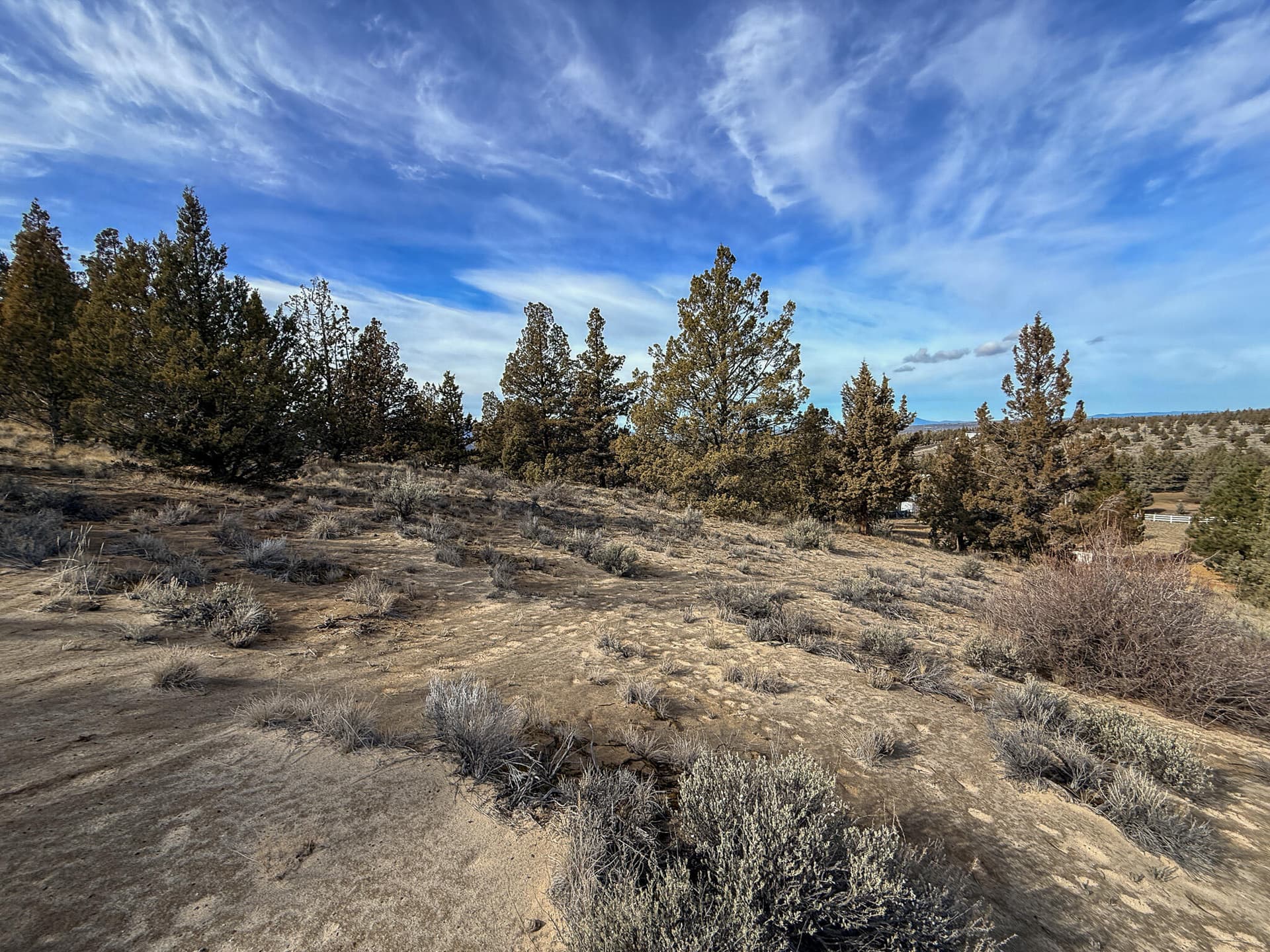 05. Photo 5 of 8, 2600 SE TL 2600 Seneca Road, Prineville, OR 97754