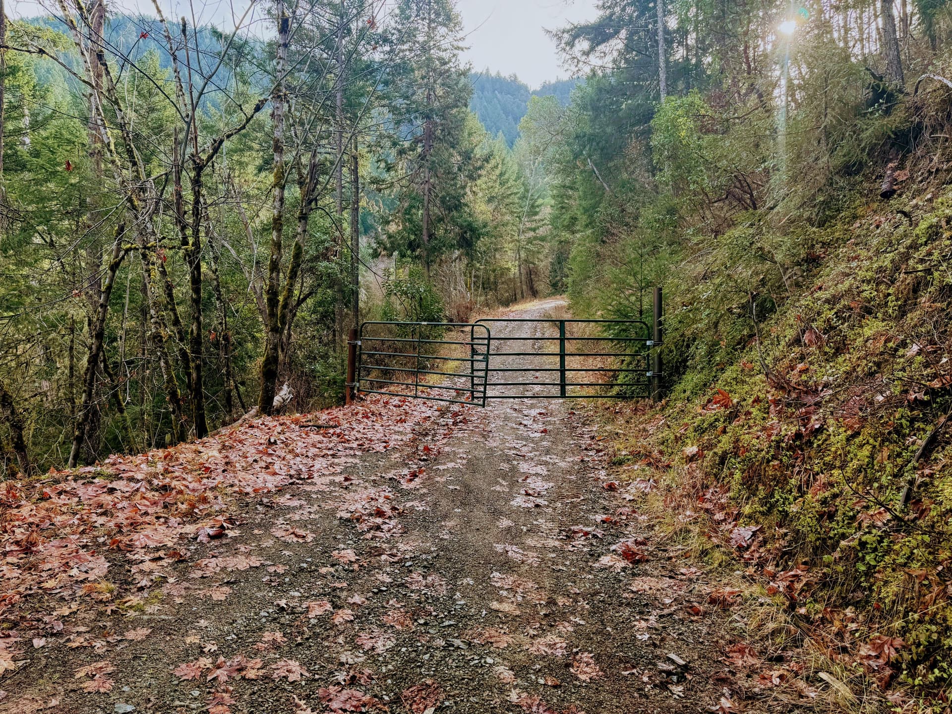 IMG_3004. Photo 2 of 40, 0 Savage Creek Rd TL2502, Rogue River, OR 97537