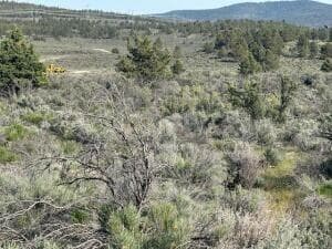 Lot 8 2. Photo 2 of 4, 0 Council Butte Unit Lot 8, Beatty, OR 97621