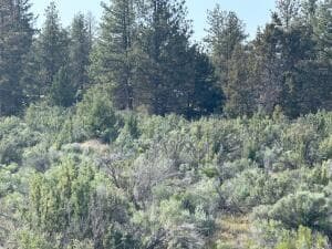 Lot. Photo 1 of 4, 0 Council Butte Unit Lot 7, Beatty, OR 97621