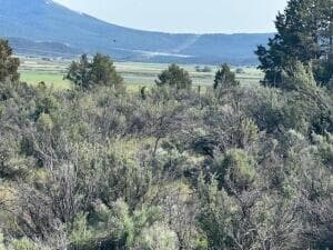 2. Photo 2 of 4, 0 Council Butte Unit Lot 7, Beatty, OR 97621