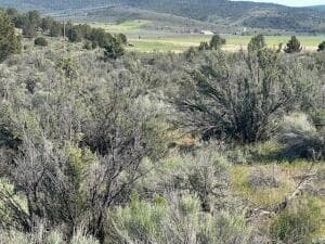 4. Photo 4 of 4, 0 Council Butte Unit Lot 7, Beatty, OR 97621