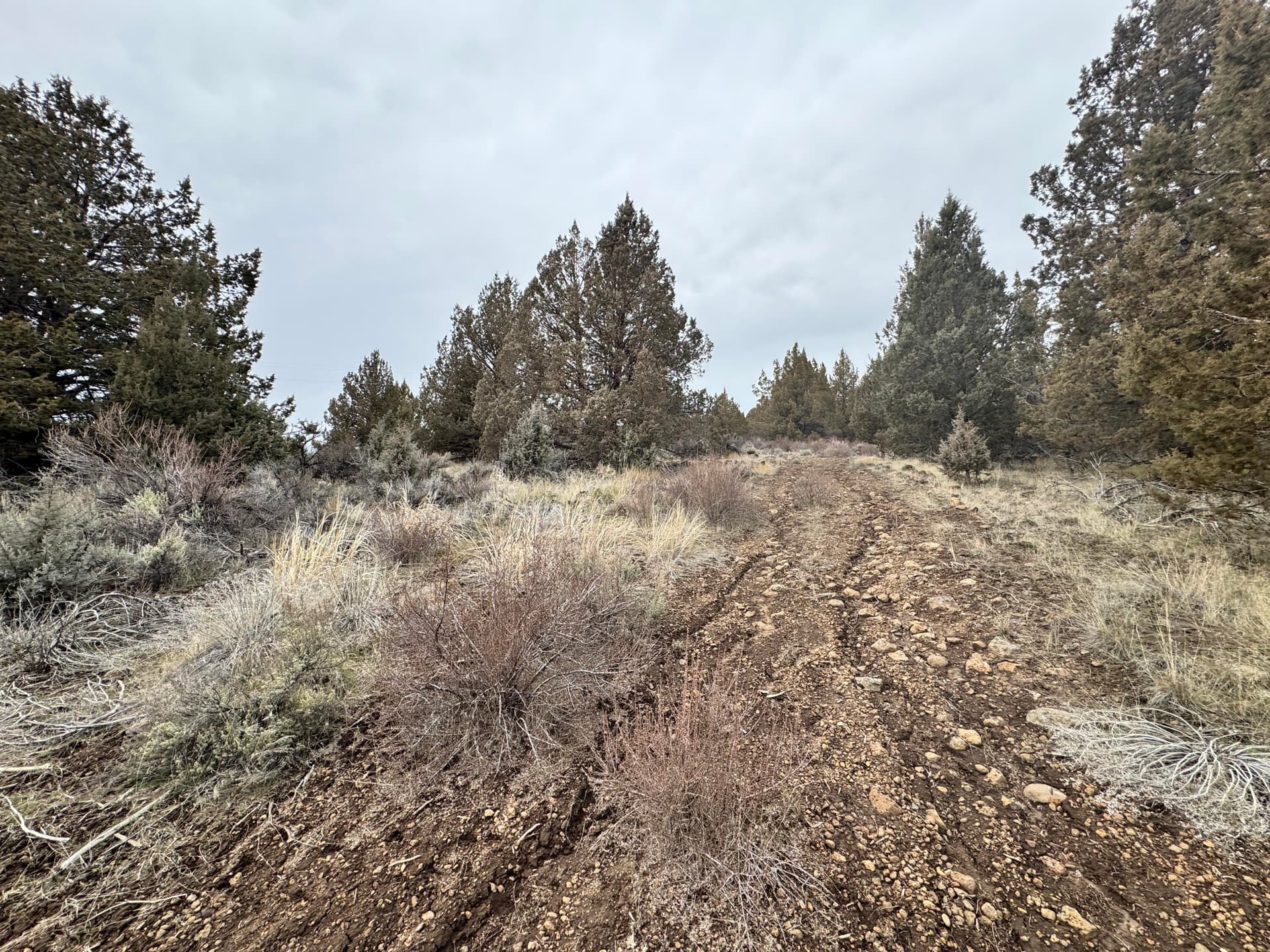 1. Photo 1 of 12, 0 Drews Road Unit 6, Sprague River, OR 97639