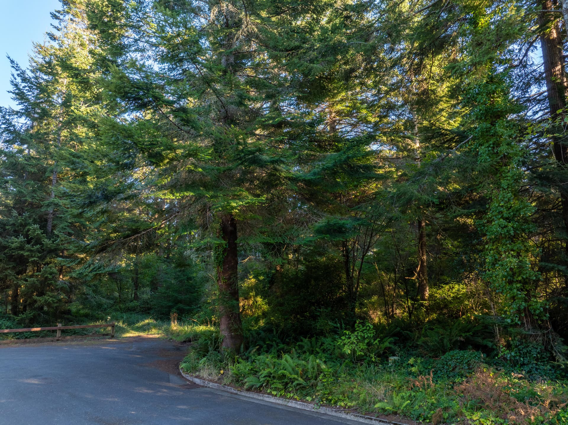 DJI_0964-HDR. Photo 1 of 8, 9th Street Unit 7-10, Bandon, OR 97411