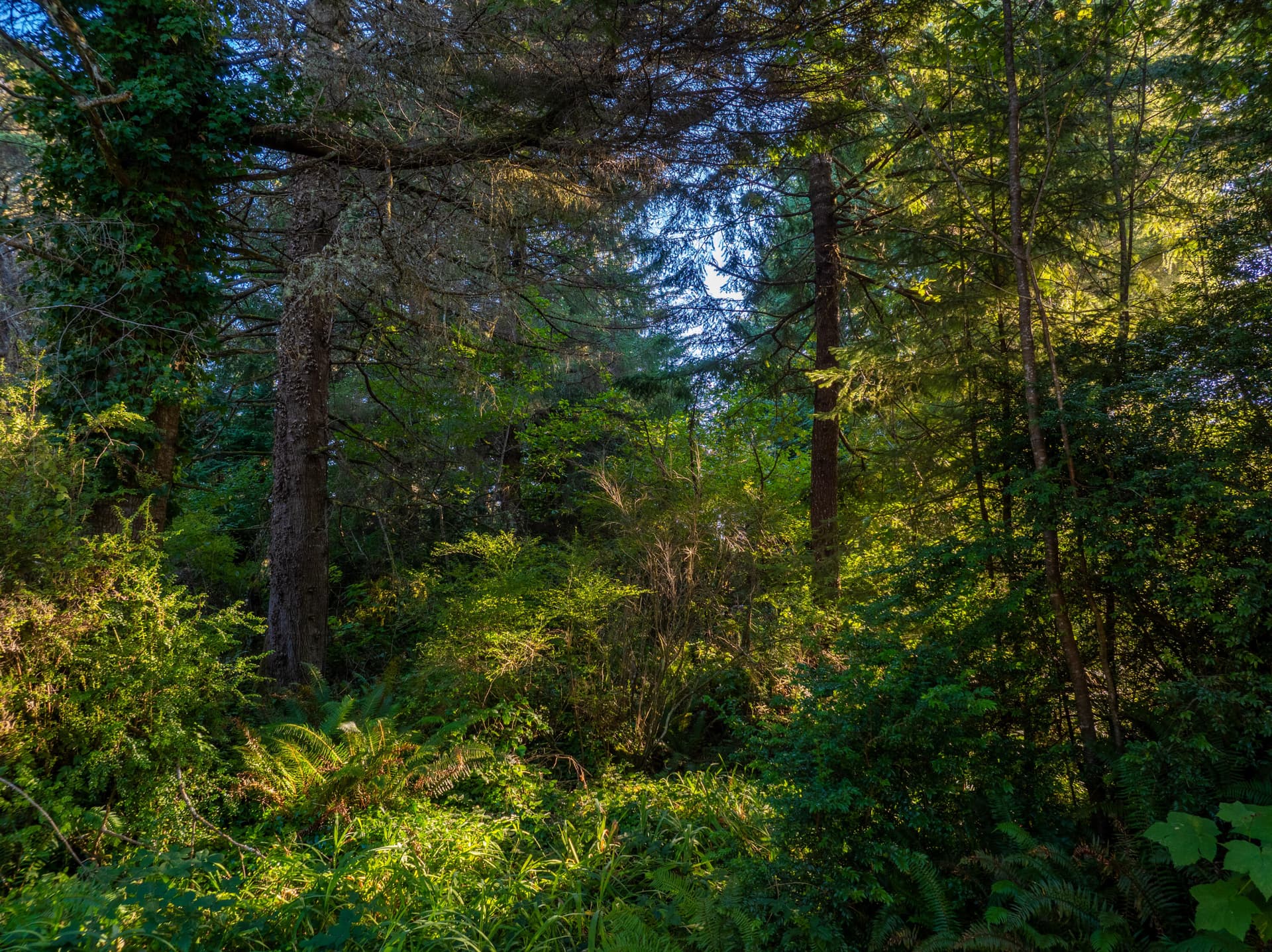 DJI_0974-HDR. Photo 4 of 8, 9th Street Unit 7-10, Bandon, OR 97411