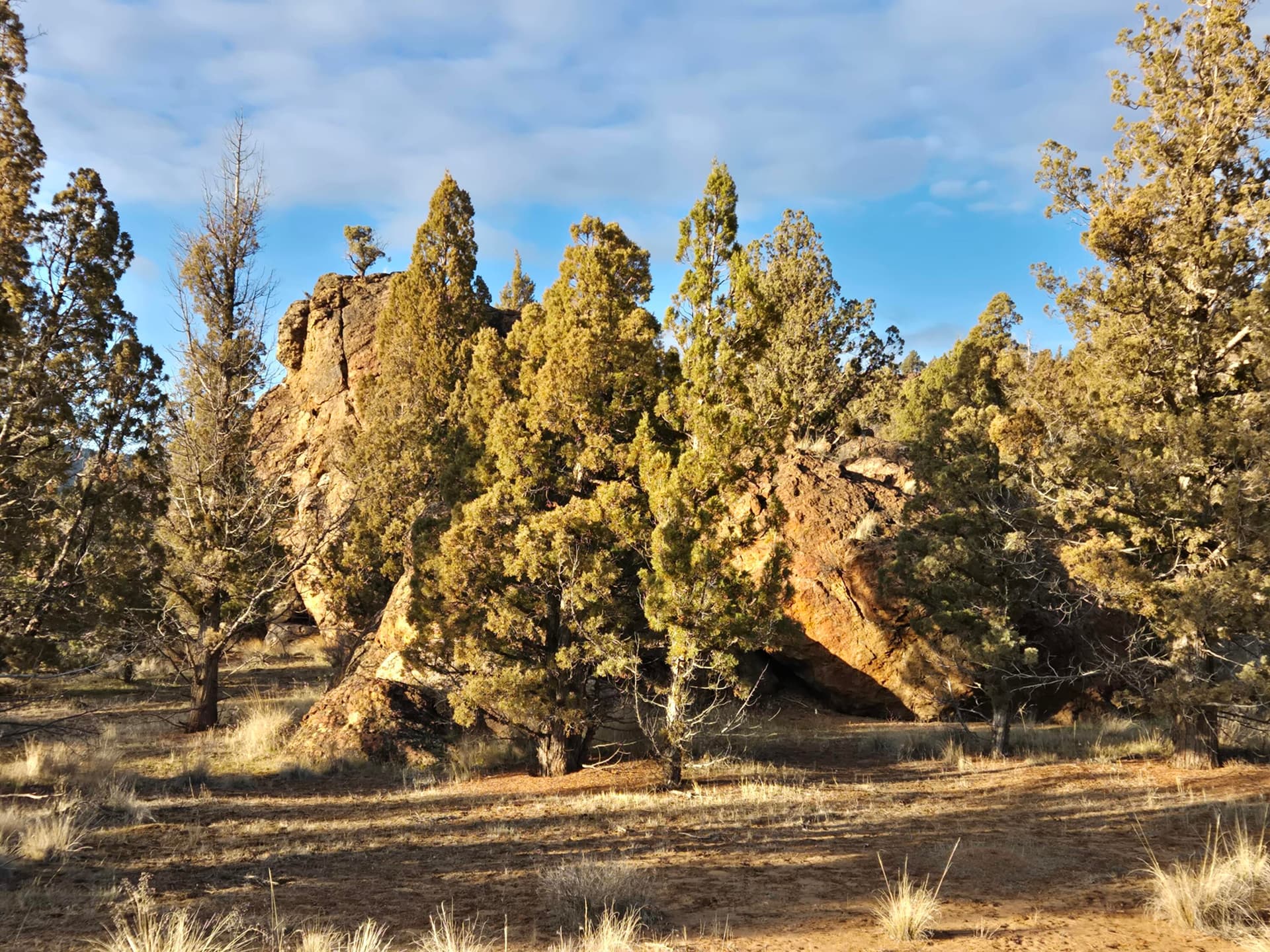 20260211_162738. Photo 3 of 10, 9697 SE Pavati Drive Unit Lot 27, Prineville, OR 97754
