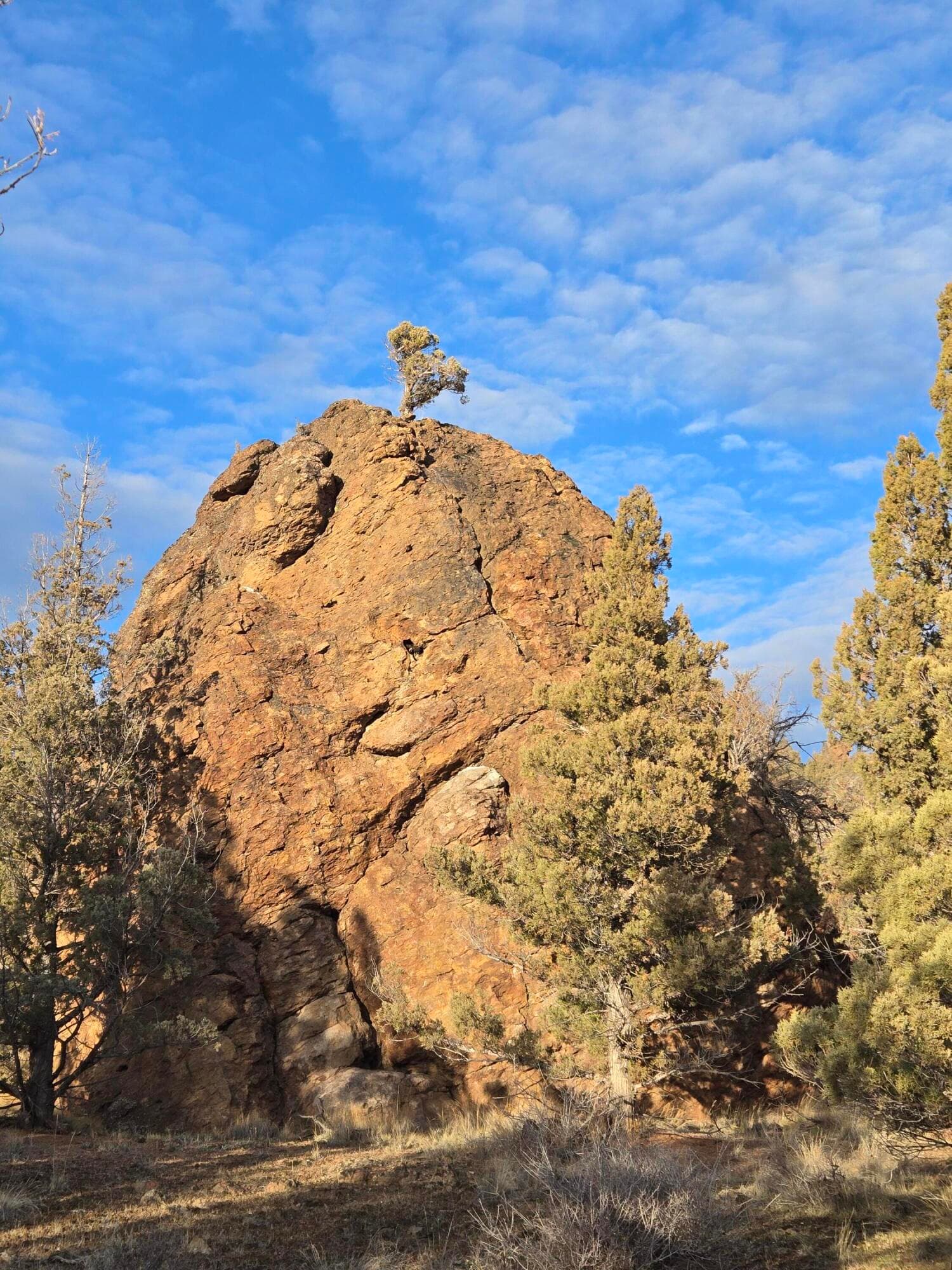 20260211_162857. Photo 4 of 10, 9697 SE Pavati Drive Unit Lot 27, Prineville, OR 97754