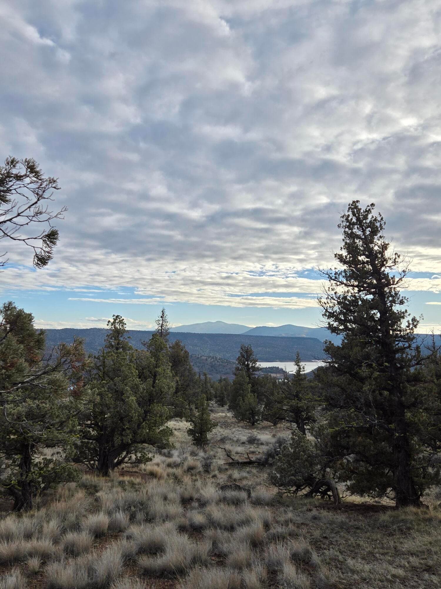 20260211_160205. Photo 3 of 10, 10033 SE Pavati Drive Unit Lot 34, Prineville, OR 97754