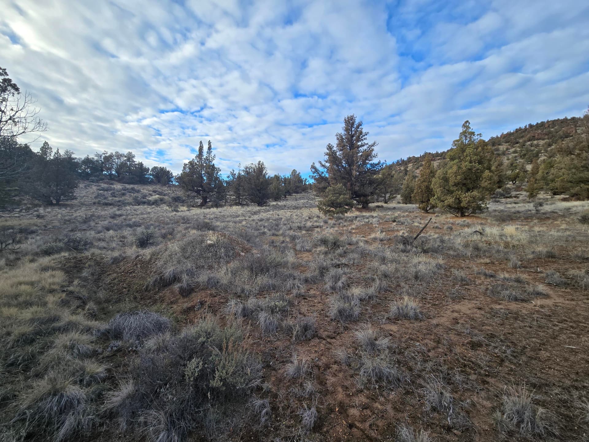 20260211_160707. Photo 2 of 10, 10068 SE Pavati Drive Unit Lot 37, Prineville, OR 97754