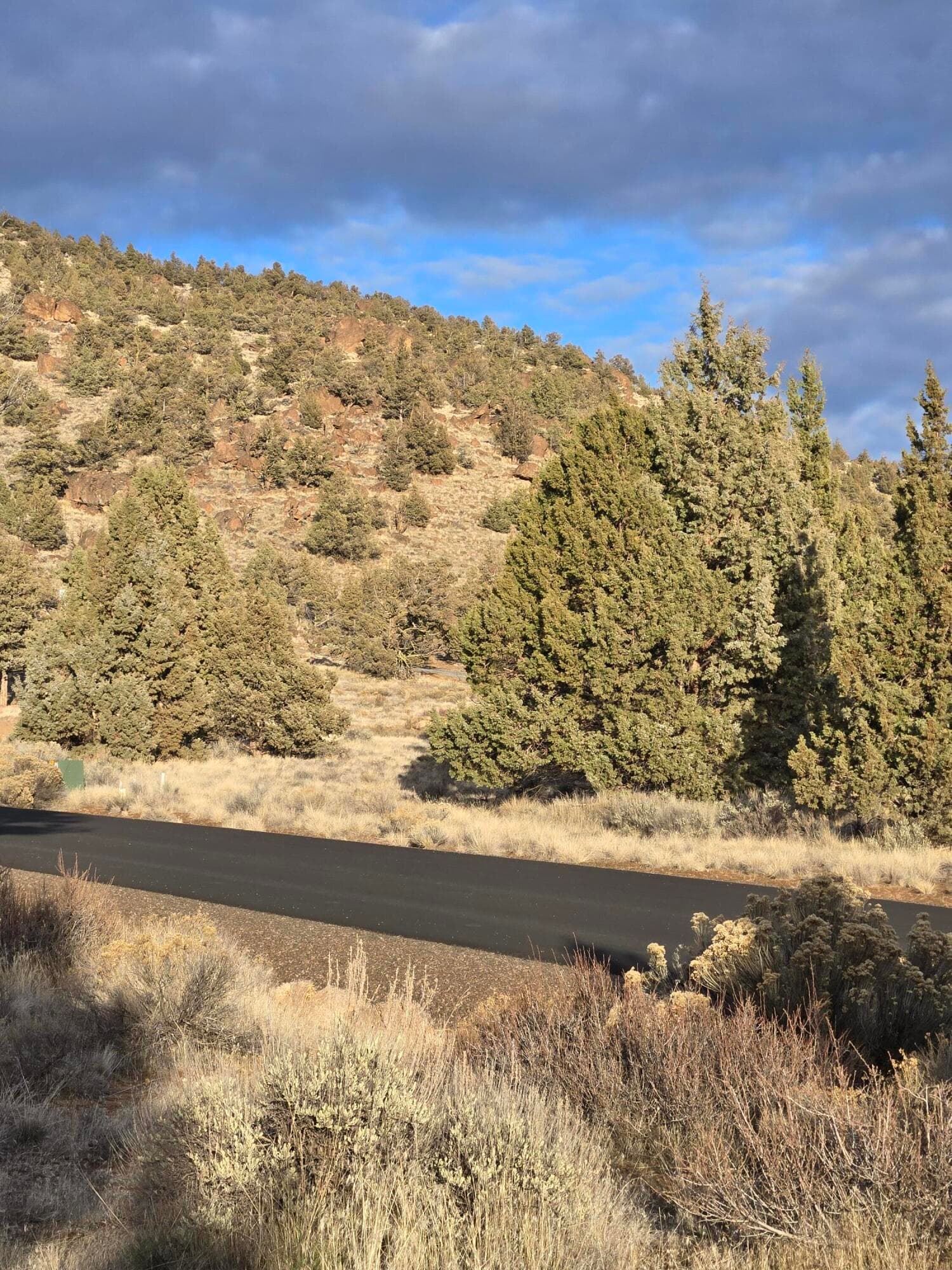 20260211_162520. Photo 3 of 7, 9674 SE Pavati Drive Unit Lot 41, Prineville, OR 97754
