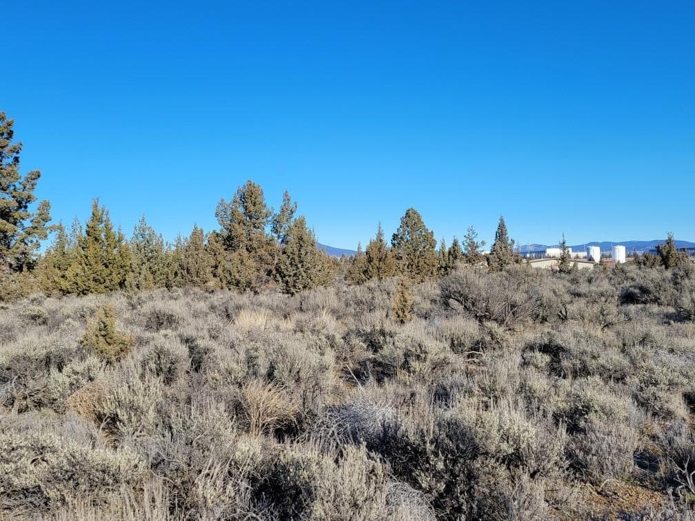 Resized_20240213_093521_1707847610617. Photo 2 of 10, 319 SW Tom McCall Road, Prineville, OR 97754
