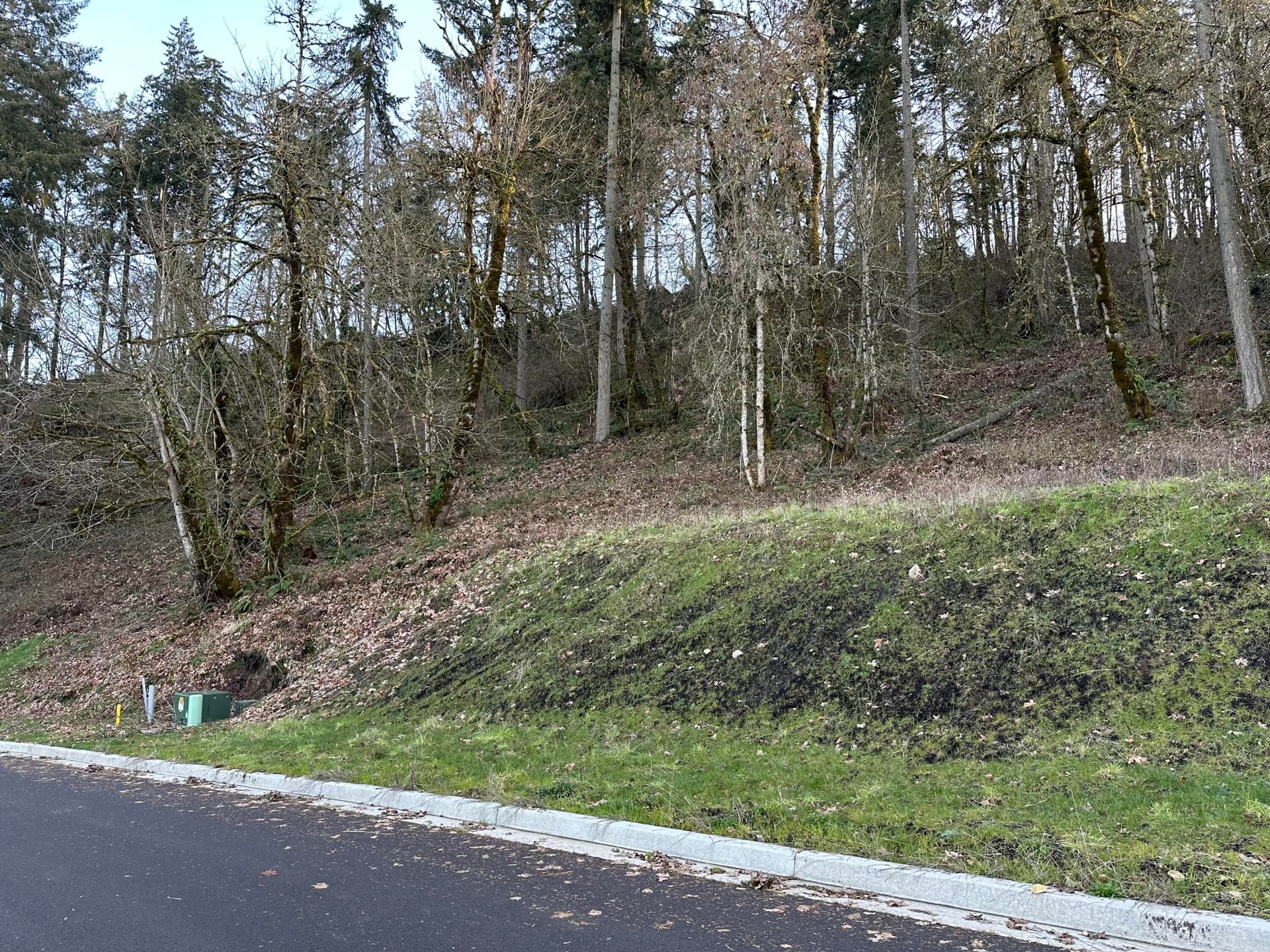 Lot Face. Photo 1 of 1, Cascara Drive Unit 89, Eugene, OR 97403