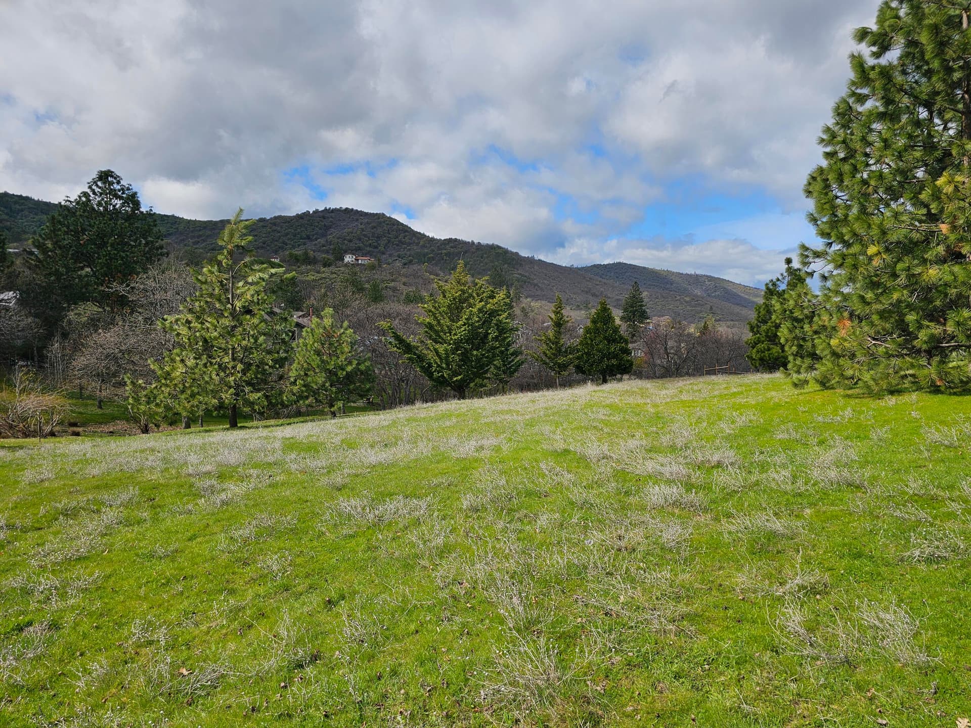 Property. Photo 1 of 12, 483 Strawberry Lane, Ashland, OR 97520