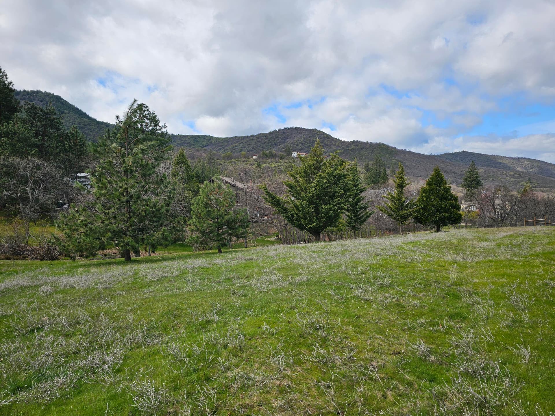 Property. Photo 2 of 12, 483 Strawberry Lane, Ashland, OR 97520