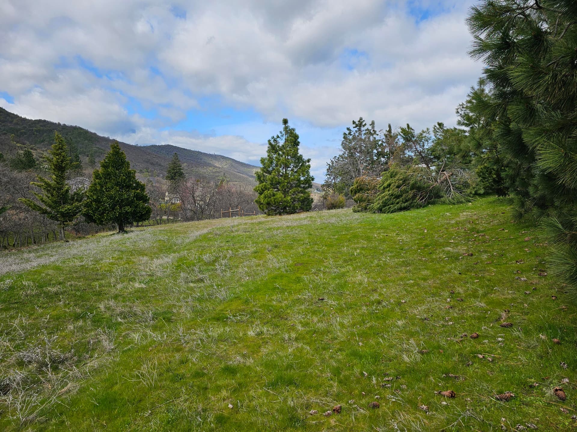 Property. Photo 3 of 12, 483 Strawberry Lane, Ashland, OR 97520