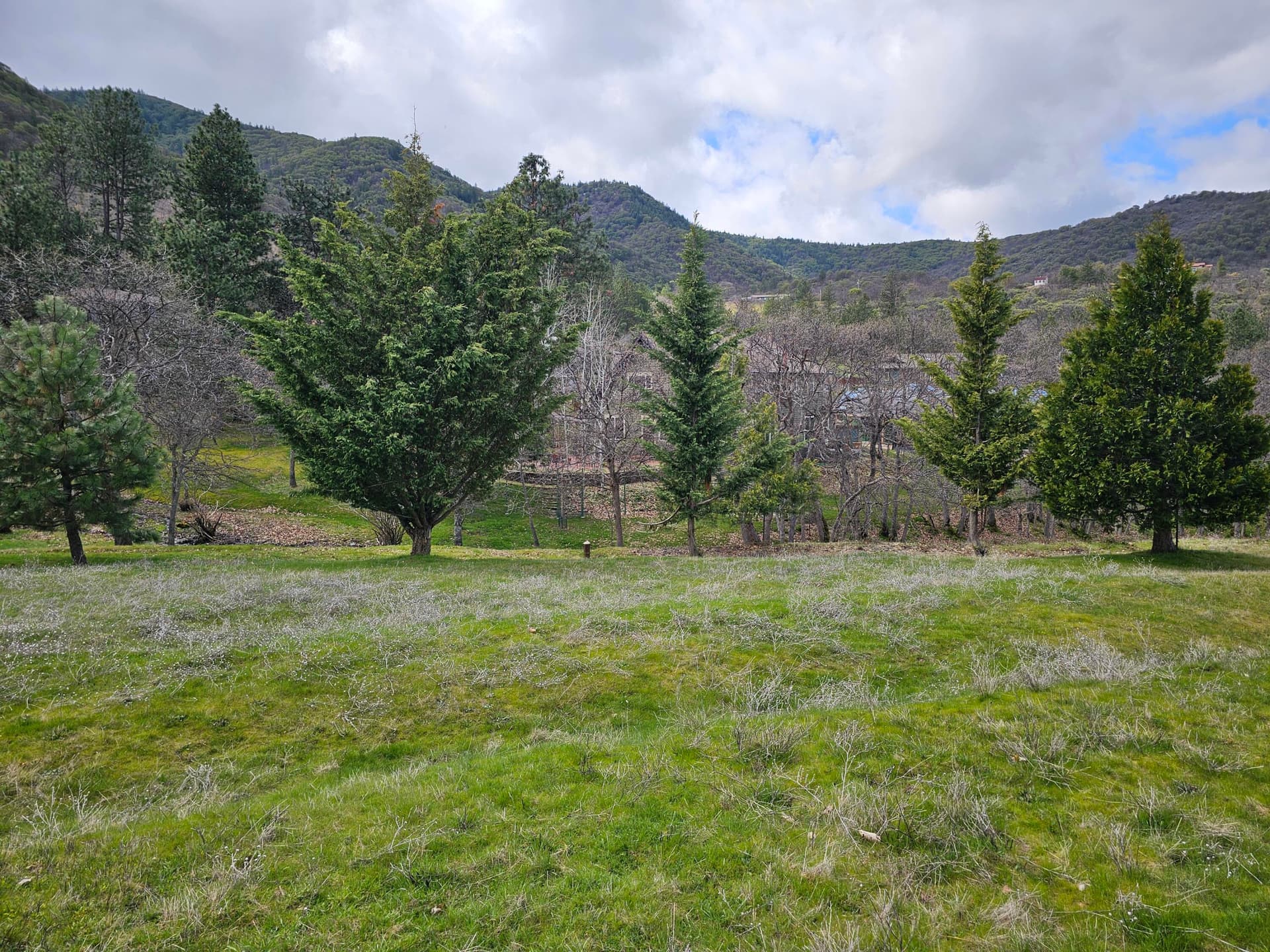 Property. Photo 4 of 12, 483 Strawberry Lane, Ashland, OR 97520