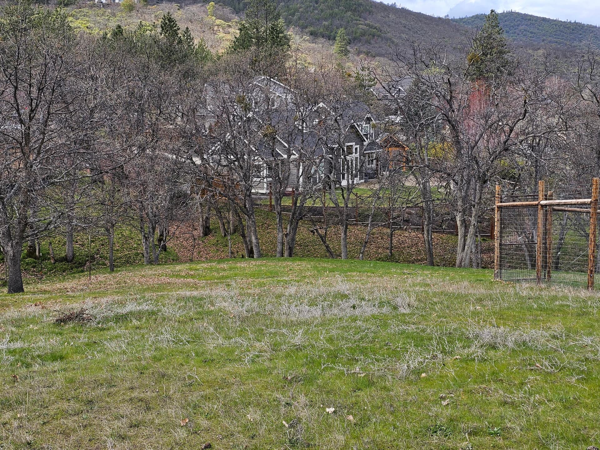 Property. Photo 5 of 12, 483 Strawberry Lane, Ashland, OR 97520