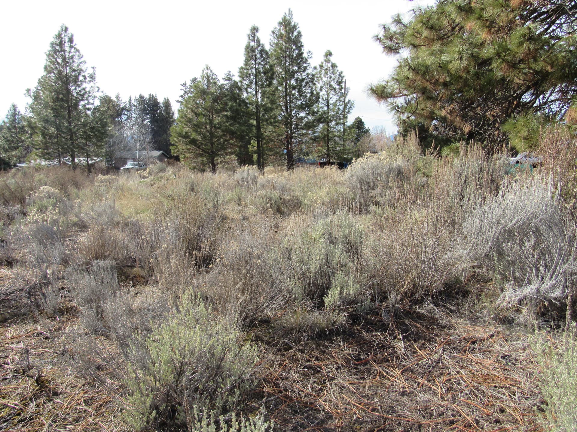 IMG_3336 - Copy (2) - Copy. Photo 2 of 8,  Unit Bl  6   lot 29, Chiloquin, OR 97624