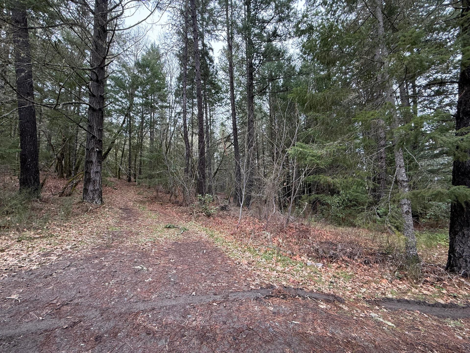IMG_0136. Photo 3 of 10, 907 Riverbanks Road Unit 907, Grants Pass, OR 97527