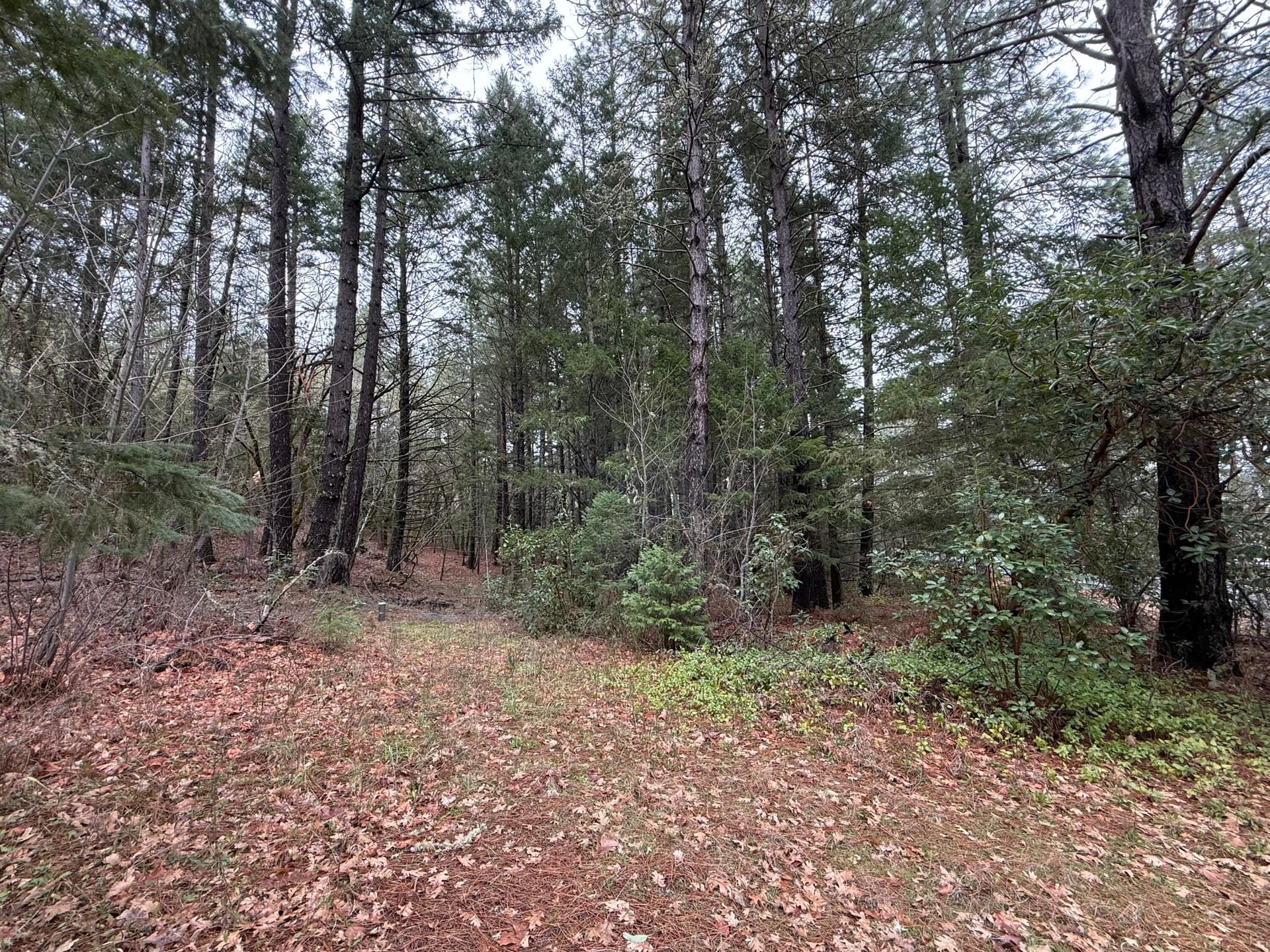 IMG_0137. Photo 3 of 10, 908 Riverbanks Road, Grants Pass, OR 97527