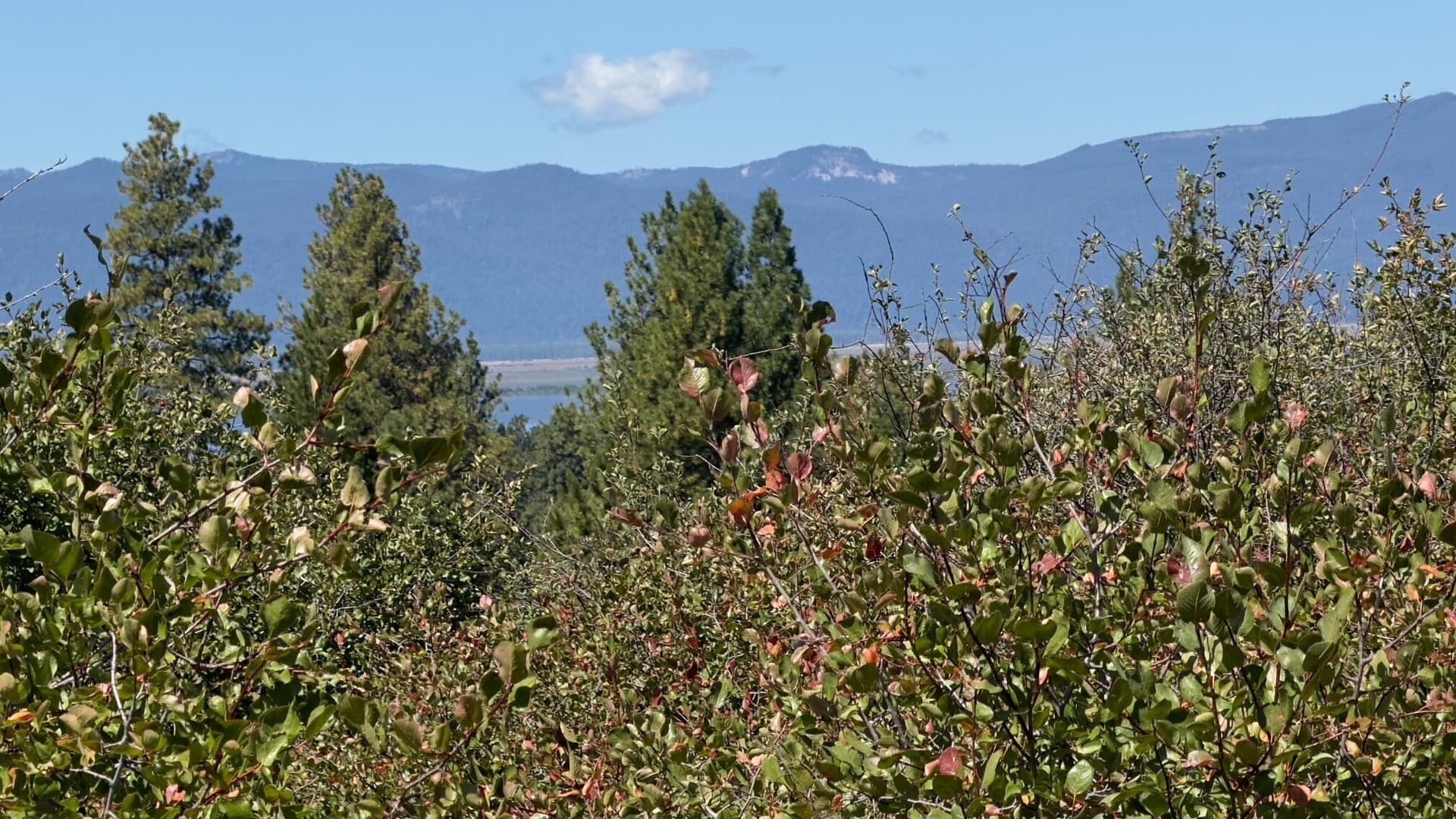 View from the road. Photo 1 of 1, David St Unit Lot 3, Klamath Falls, OR 97601
