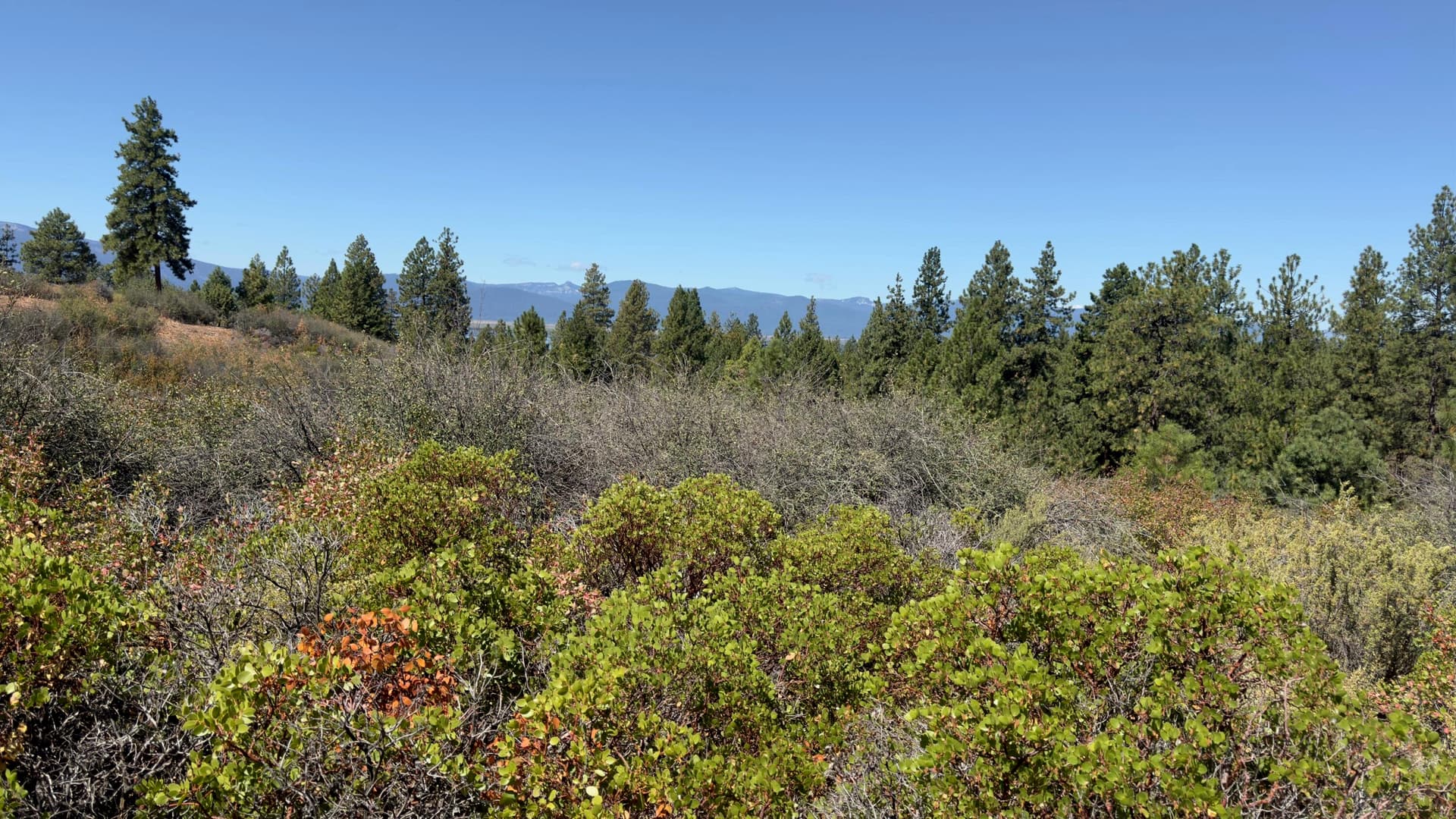 David St Lot 4. Photo 1 of 1, David Street Unit Lot 4, Klamath Falls, OR 97601