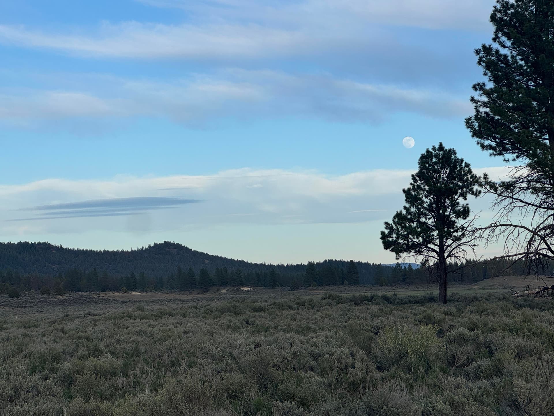 IMG_2059. Photo 2 of 9, 0 Mule Deer Drive Unit 1, Sprague River, OR 97639