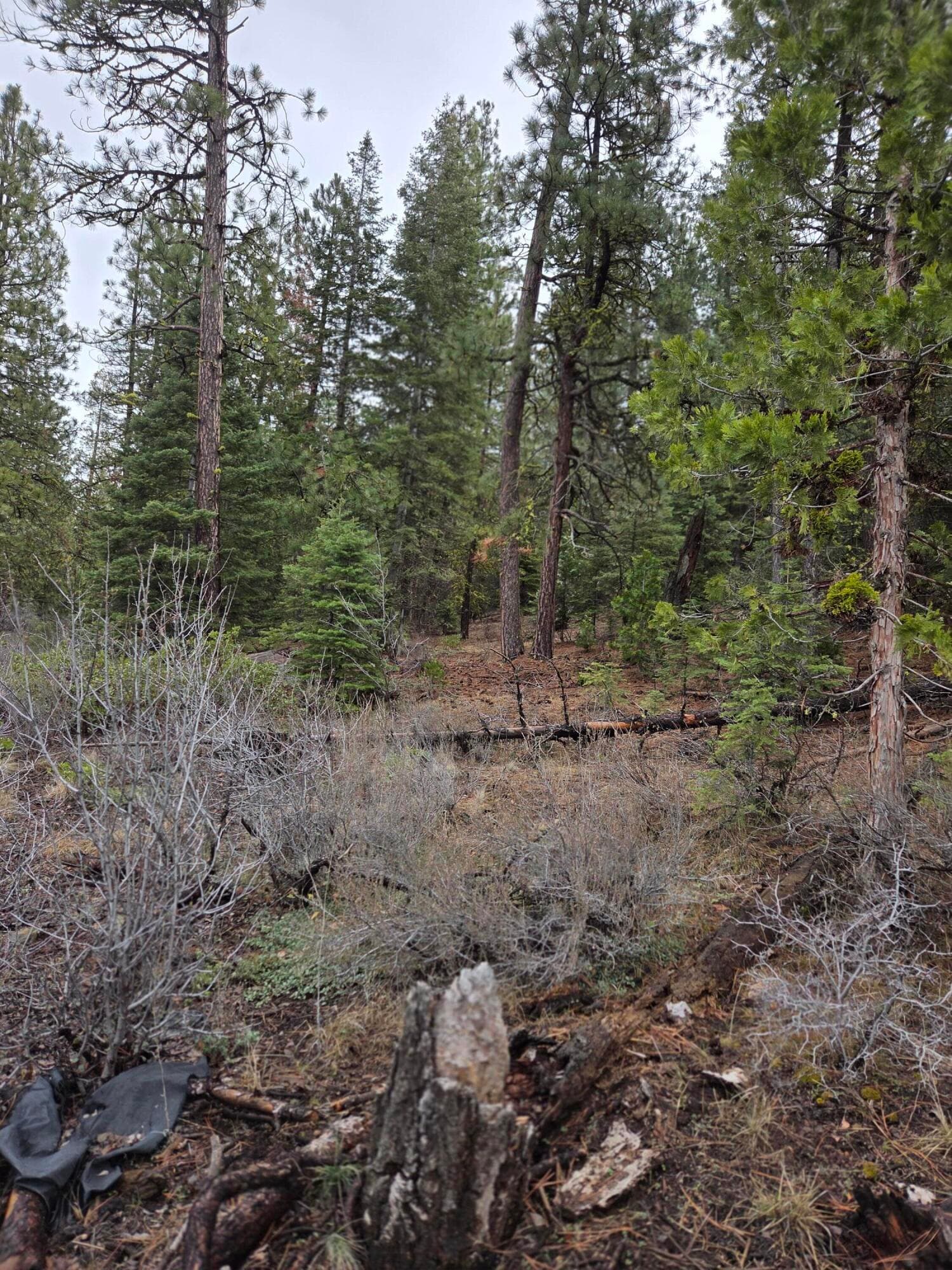 Lot. Photo 3 of 6, 0 E Yak / Hwy 140 Lane Unit Lot 1, Bonanza, OR 97623